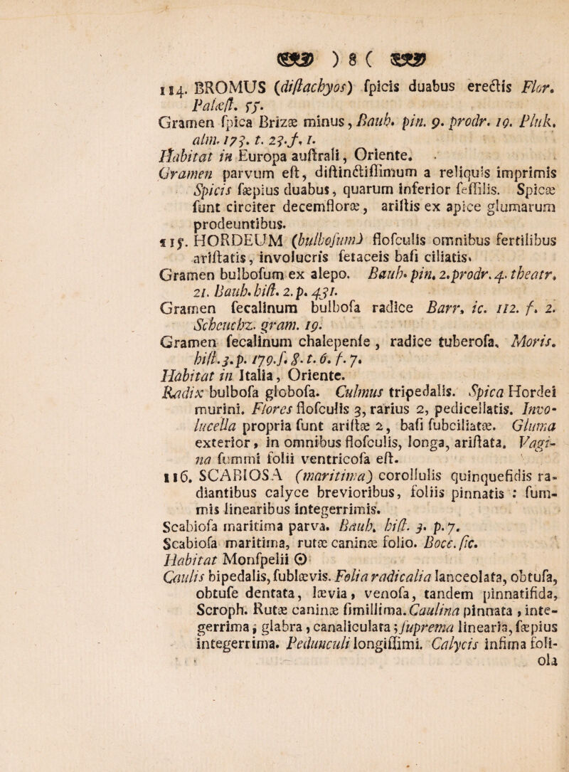 114. BROMUS (diftachyos) fpicis duabus eredis Flor. Pahe/l. ff- Gramen fpica Rrizge minus, Bank* pin. 9. prodr. iq. Pluk. aitih 173. t. 2?.f, /. Iiabitat in Europa aufirali, Oriente* Gramen parvum eft, diftindiffimum a reliquis imprimis Spicis fepius duabus, quarum inferior feffilis. Spicae font circiter decemfloroe, ariltis ex apice glumarum prodeuntibus. sif. HORDEUM (bulbofum) flofculis omnibus fertilibus artita tis, involucris fetaceis baft ciliatis» Gramen bulbofum ex alepo. Bank• pin* 2.prodr. 4. tbeatr* 2/. Bauh. /;//?. 2. p. 4?/. Gramen fecallnum bulbofa radice Ban\ ic. 112. 2. Scheuchz. grim /<?. Gramen fecalinum chalepenle , radice tuberofa. Moris, hifl.s.p. ijg.f* i-1. d. f. 7. Habitat in Italia, Oriente. Radix bulbofa giobofa. Culmus tripedalis. Hordei murini. Flores flofculis 3, rarius 2, pediceiiatis. /«ro- lucella propria funt ariftoe 2, bafi fubeiiiatce. Gluma exterior» in omnibus flofculis, longa, ariflata. Vagi¬ na furum! folii ventricofa eft. 116. SCABIOSA (maritima) corollulis quinquefidis ra» diantibus calyce brevioribus, foliis pinnatis : fum- mls linearibus integerrimis. Scabiola maritima parva. Bauh. biff. 3* p. 7. Scabiofa maritima, rutae canince folio. Bocc.fiu Habitat Monfpeiii 0 Caulis bipedalis, fublaevis. Folia radicalia Ianceolafa, obtufa9 obtufe dentata, Ice via, venofa, tandem pinnatifida, Scroph. Rutae caninae fimilliraa.Caulina pinnata , inte¬ gerrima , glabra, canaliculata; juprema linearia, fcepius integerrima. Pedunculi longiffimi. Calycis infima foli- - ola