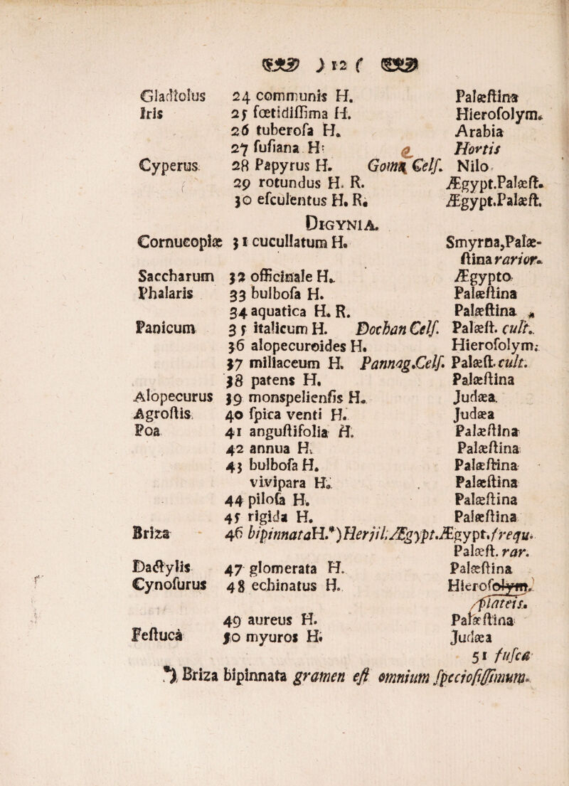 Gladiolus Iris Cyperus f Cornucopia 24 communis H. 23 foetidiflima H. 26 tuberofa H. ^ 27 fufiana H* 28 Papyrus H. Gom\ €elf. 29 rotundus H. R. jo efculentus H. R. Palseftina Hierofolym» Arabia Hortis Nilo- Algypt.Palseft. ^Egypt.Palaeft. Digynia. j I cucullatuna H. Smyrna,Palae- ftina rarior». Saccharum Phalaris Panicum Alopecurus Agroftis Poa Briza Dadiyih Cynofurus Feftuca J3 officinale H,. ^gypto 33 bulbofa H. Pateftina 34 aquatica H. R. Palaeftina .# 3 f italicum H. Docban Celf. Palaefh culK 36 alopecureides H. Hierofolym; J7 miliaceum H. Pannis .Celf* Palae (t cult. }8 patens H, Palaefiina 39 monspelienfis FL Judaea. 40 fpica venti H. Judaea 41 anguftifolia H: Palaeftinsr 42 annua H. Palaeftina 45 bulbofa H. Palseftina vivipara H* Palaeftina 44 piIofa H. P&lsftina 4* rigida H, Palae ftina 46 bipinnaraH.*)Herjil;JEgypt.JEp,ypt,frequi Paloeft. rar. 47 glomerata H. Pateftina 48 echinatus H» Hlcrofolyw, /fiat eis. 49 aureus H. Pate ftina #0 myuros Ht Judaea 51 fufca 0 Briza bipinnata gramen efi omnium fpecjofiffimum*