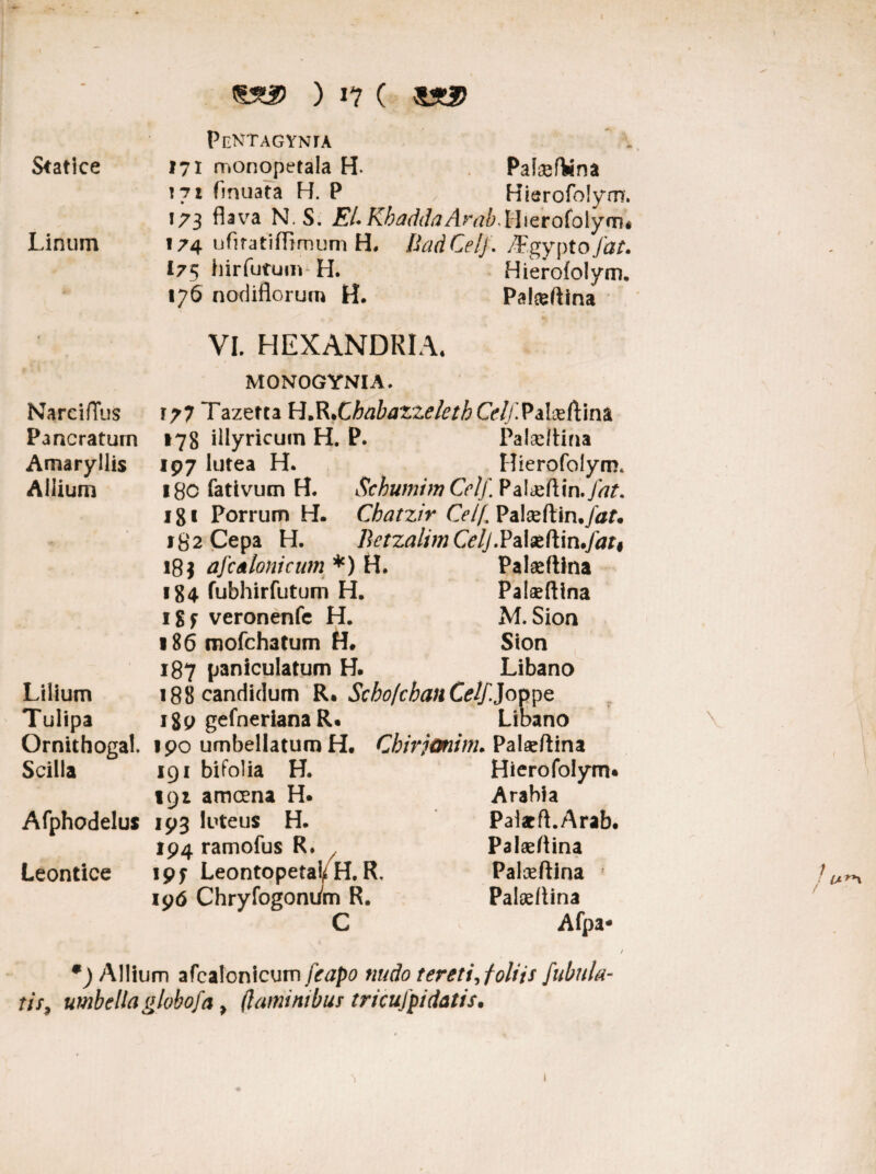 ) i? ( sx£> NarcifTus Pancratum Amaryllis Allium Pcntagynta ' . Statice 171 monopetala H. Pateftina 171 finuata H. P , Hierofolym. 173 flava N.S. EURbaddaArab^hetototym* Linum 174 uflratiflimum H, DadCelj. Mgypto Jat. 175 hirfutum H. Hierofolym. 176 nodiflorum H. Palseftina VI. HEXANDRIA. MONOGYNIA. F77 Tazetta H.R.CbabaZzele t b Celf.P alxftmb 178 illyricuin H. P. Palaeltina 197 lutea H. Hierofolym* 18C fativum H. Schumim Celf Pa!<eftin.fat. 181 Porrum H. Cbatzir Celf Palseftin./tff. 182 Cepa H. BetzalimCelj.Palseftin./^r# 18$ afcclonicum *) H. Palaeftina 184 fubhirfutum H. Palseftina igf veronenfc H. M.Sion 186 mofchatum H. Sion 187 panicularum H. Libano 188 candidum R. Scbo/cbanCelfJoppe 189 gefnerianaR* Libano Ornithogal. 1 po umbellatum H. Cbirjoninu Palseftina Scilla 191 bifolia H. Hierofolym* 191 amcena H» Arabia Afphodelus 193 luteus H. Paiacfl.Arab. 194 ramofus R* / Palaeftina Leontice ipf Leontopetai^ H. R. Palceftina ' 196 Chryfogoniim R. Paleeflina C Afpa* / *) Allium afcalonicum [capo nudo tereti, foliis fabula¬ tis, umbella globofa , (luminibus tricufpi datis. Lilium Tulipa
