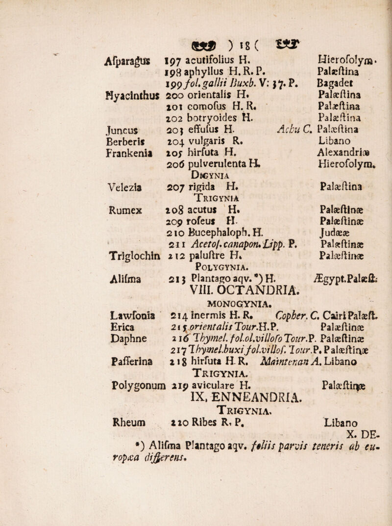 Afparagus 197 acutifolius H. Hierofolym» ipHaphyllus H. R. P. Palseftina 1 ppfoLgalJii liuxb. V; 17. P. Bagadet Hyacinthus 200 orientalis H* Palceftina 101 comofus H. R« Palaeftina 202 botryoides H. Palaeftina Juncus 20} effufus H. Acku C. PalaefUna Berberis 204 vulgaris R* Libano Frankenia ioj hirfuta H. Alexandri® 206 pulverulenta H* Hierofolyra. Velezia DiCYNJA 207 rigida H. Palaeftina Rumex Trigynia 208 acutus H. Palaeftinse 209 rofeus H Palaefiinae 210 Bucephaloph.H. Judaeae 211 Aceto/, canapon• %jpp. P. Palarftinae Triglochin 212 paluftre H% Paloeftinse Alitoa POLYGYNIA. 21} Plantago aqv. *) H. i£gypt.Pale& VIII. OCTANDRIA, MONOGYNIA. — Lawfooia 214 inermis H. R. Copber. C. Cairi Palaeft Erica 21 s orientalis Tour.H.P. Palasftinae Daphne 216 Ibymel. fol.ol.vitlofo Tour.P. Palteftinse 2i*}1hymel.buxifol.villof. lour.P, Pal&ftin* Pafferina 118 hirfuta H. R. Mamtt-nan A. Libano Trigynia. Polygonum aip aviculare H. Pakftinse IX, -ENNEANDRIA. T RIGYNIA» Rheum t io Ribes R. P. Libano X. DE- *) Alifma Plantago aqv. filiis panis teneris ab eu- ropxa difyerens.