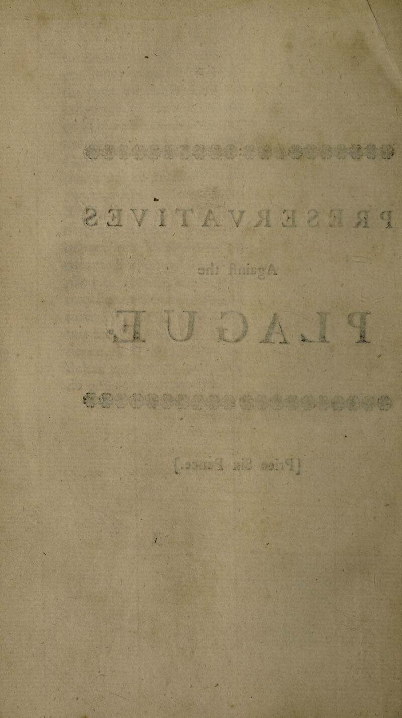 / l 1 \ ' M ' > A ' « ' . ✓ >■ \ > i W C\ A r: **• \ \ V * I