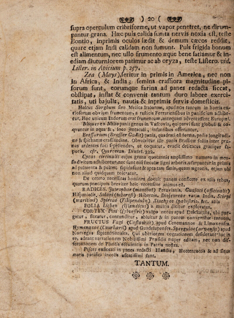 fupra operculum cribriforme, gt vapor penetref, ne dirum¬ pantur grana. Haec puls calida fumta nervis noxia trt, terte Bontio, inprimis oculos laedit & demum caecos reddit, quare etjarn Indi calidam non fumunt. Puls frigida bonum eft alimentum, nec ullo frumento aeque bene (atiamur & in¬ ediam diuturniorem patimur ac ab oryza, terte Liftero. vicL Lifler. in Abicitftn p. 2/7« Zea (Mays),feritur in primis in America, nec non in Africa, & India,- femina craffiora magnitudine pi- Jforum funt, eorumque farina ad panes redadla ficcat, obftipatf inflat & convenit tantum duro labore exerci¬ tatis, uti bajulis, nautis & inprimis fervis domefticis. Holcus Sorghum five Melica Italorum, apud nos tantum in hortis cm- rioforum obvium frumentum, a ruflicis Ferrarienfibus in panificium adhibe¬ tur, Hoc unicum Indorum erat frumen tum,antequam adventaflent Europasi. 'Miquescx Milio panis genus in Vafcovia, qui parvi funt globuli Bc eo- «jvuntur in aqualoco jentaculi, ’ infantibus offeruntur, Breffurium (Brajfier Gaflis) panis, quadrati eft forma,pedis longitudi¬ ne Stfpithamse-crafiitudine. Obvolvitur ille panis Brafficte foliis inter pru¬ nas ardentes foci fepeliendus, ut coquatur , evadit delicatus gracique Ca¬ po r is. c/r. Quire et an. Dictet 222* Cycas circinalis cujus grana quotannis ampli Hi mo numero in men- fisdivitura adhibentur,nec funtnififcecube ligni arboris,ufurpantur in primis ad pulmenta & pultes; fapidafuntSt aptatam fanis,quam aegrotis, etjarn ubi non aliud quidquam toleratur. De cetero necefftas homines docuit panem conficere' ex aliis rebusj quarum praecipuas breviter heic recenfere animuseft. RADICES. Jatropbae (manihoi) Pefuvianis, Cuajaci (ofjicinalis') ilifpaniolis# Solani (tuberofi) Hibernis. Diojcoreae varia Indis. Scirpi ([maritimi) Spireae (Filipendulm) Stachyos (palujlrisy fcc* aliis FOLI4. Lichen (IJlandictis') a multis dicitur exploratus. '* CORTEX Pini (fylvejlris) vulgo notus apud Daleltarl.6s, ubi pur¬ gatur , ficcatur, contunditur, abluitur in panem convertimur tenuemi FRUCTUS Fagi {Cajianeae) apud Cenemannos & Limoxenfes. Hy mena ea e (Courharil) apud Guadslvpente$,Spergulae(arvenJh) apud Norvegos feptentrionales. Qui uberiorem cognitionem defiderant* hac in re, adeantnairationem Ncbiliffimi Prasfidis nuper editam, nec non dif- fertationem de Plantis efculentis in Patria noftra. v Pifces exficcati in panes redarti Hiandis, Hcttentottis & ad ffnUs .smaris pacifici incolis «fitatiffmi funt. TANTUM.