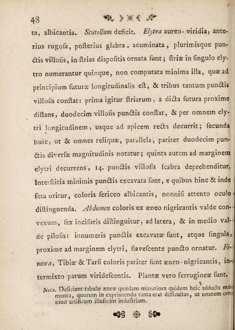 r 48 , >*< f? ta, albicantia. Scutellum deficit. Elytra aureo - viridia, ante¬ rius rugofa, pofterius glabra, acuminata, plurimisque puti¬ dis villofis, in (trias dispofitis ornata funt; ftriae in fingulo ely- tro numerantur quinque, non computata minima illa, qua: ad principium futurae longitudinalis eft, & tribus tantum punctis villofis conftat: prima igitur flriarum , a dida futura proxime diftans, duodecim villofis pundis conitar, & per omnem ely- tri longitudinem, usque ad apicem reda decurrit; fecunda huic? ut & omnes reliqua, parallela, pariter duodecim pun¬ ctis dlverfae magnitudinis notatur; quinta autem ad marginem elytri decurrens* 14. punftis villofis fcabra deprehenditur. Interflitia minimis pundis excavata funt, e quibus hinc & inde feta oritur, coloris fericeo albicantis, nonnifi attento oculo diftinguenda. Abdomen coloris ex teneo nigricantis valde con¬ vexum, fex incilaris diitingukur, ad latera, & in medio val¬ de pilofis: innumeris pundis excavatas funt, atque lingula, proxime ad marginem elytri, flavefeente puncto ornatur. Fe- mora, Tibias &Tar(i coloris pariter funt asneo-nigricantis, in¬ termixto parum vlridefcentis. Plantas vero ferrugineas funt. Jslota. Deficient tabulae aeneae quaedam minutiora quidem heic adducta mo; menta, quorum in exprimendo tanta erat difficultas, ut omnem om¬ nino artificum illuferint induftriam.