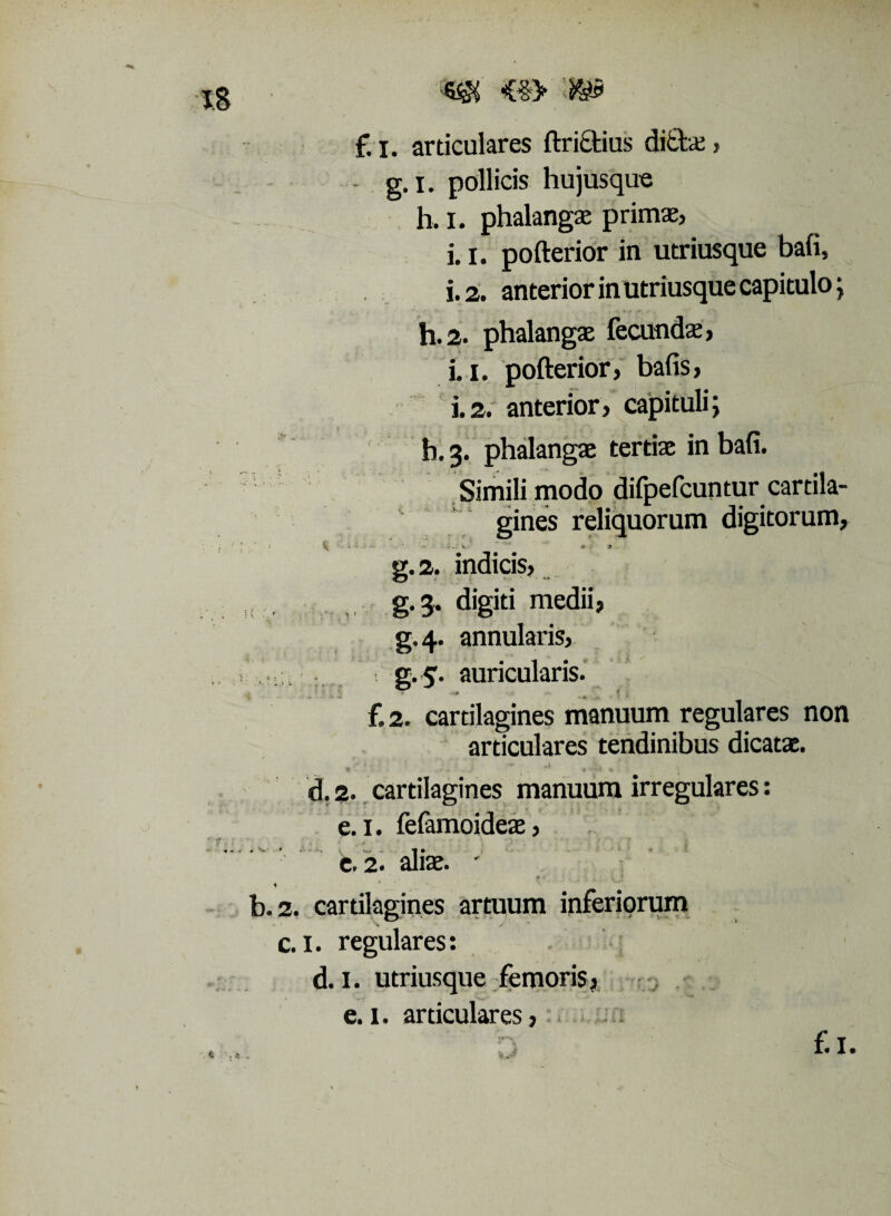 m <§> f. i. articulares ftri&ius ditis, - g.i. pollicis hujusque h. I. phalanga: primae, i. i. pofterior in utriusque bafi, i. 2. anterior in utriusque capitulo; h.2. phalangae fecundae, Li. pofterior, bafis, i.2. anterior, capituli; h. 3. phalangae tertis in bafi. Simili modo difpefcuntur cartila¬ gines reliquorum digitorum, ^ • * ->- - ' '• . • « .1 v. ' * +> * 3 g.2. indicis, , , ,, g.3. digiti medii, g.4. annularis, ’ g-5- auricularis. • » f f. 2. cartilagines manuum regulares non articulares tendinibus dicatae. d. 2. cartilagines manuum irregulares: e. 1. fefamoideae, e. 2. alis. • *v ■ ( 1 4 1 b. 2. cartilagines artuum inferiorum c. I. regulares: d. I. utriusque femoris,