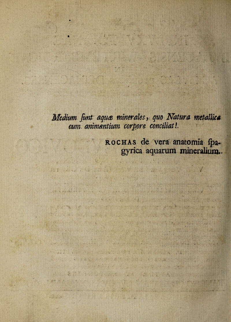 Medium Jutit' aqu/R minerales > quo Natura metallica eum: animantium corpore conciliati. ROCHAS de verC anatomia fpa- gyrica aquarum mineraUum..