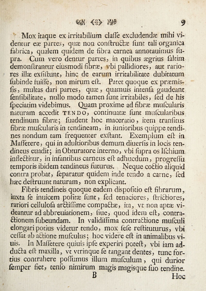 Mox itaque ex irritabilium clade excludendae mihi vi¬ dentur eas parces, quas non conftrufhe funt tali organica fabrica, qualem quidem de fibra carnea annotauimus fu- pra. Cum vero dentur partes, in quibus asgrius laltim demonftrantur eiusmodi fibra;, vbi pallidiores, aut rario¬ res illae exfiftunt, hinc de earum irritabilitate dubitatum fubinde fuifle, non mirum eft. Patet quoque ex praemis- fis, multas dari partes, quae, quamuis incenia gaudeant fenfibilitate, nullo modo tamen funt irritabiles, fed de his ipeciatim videbimus. Quam proxime ad fibrae mufcularis naturam accedit tendo, continuata funt muicularibus tendinum fibrae5 fuadent hoc maceratio, item tranfitus fibrae mufcularis in tendineam, in iunioribus quippe tendi¬ nes nondum tam frequenter exftant. Exemplum eft in Mafietere, qui in adultioribus demum diuerfis in locis ten¬ dineus euadit; inObturatore interno, vbi fupra os Ifchium. infle&itur, in infantibus carneus eft adhucdum, progrefiu temporis ibidem tendineus futurus. Neque coftio aliquid contra probat, feparatur quidem inde tendo a carne, fed hasc deftruunt naturam, non explicant. Fibris tendineis quoque eadem dispofido eft fibrarum, iuxta fe inuicem pofits funt, fed tenaciores, ftrictiores, rariori cellulofa ariftiftlme compaftas, ita, vt non apta; vi¬ deantur ad abbreuiadonem, fiue, quod idem eft, contra¬ ctionem fubeundam. In validiffima contractione mufculi elongari potius videtur tendo, mox fefe reftituturus, vbi ceflat ab aCtione mufculus; hoc videre eft in animalibus vi- uis. In Mafietere quiuis ipfe experiri poteft, vbi iam ad- dufta eft maxilla, vt vtrinque fe tangant dentes, tunc for¬ tius contrahere poftumus illum mufculum, qui durior femper fiet, tenfo nimirum magis magisque fuo tendine. B Hoc