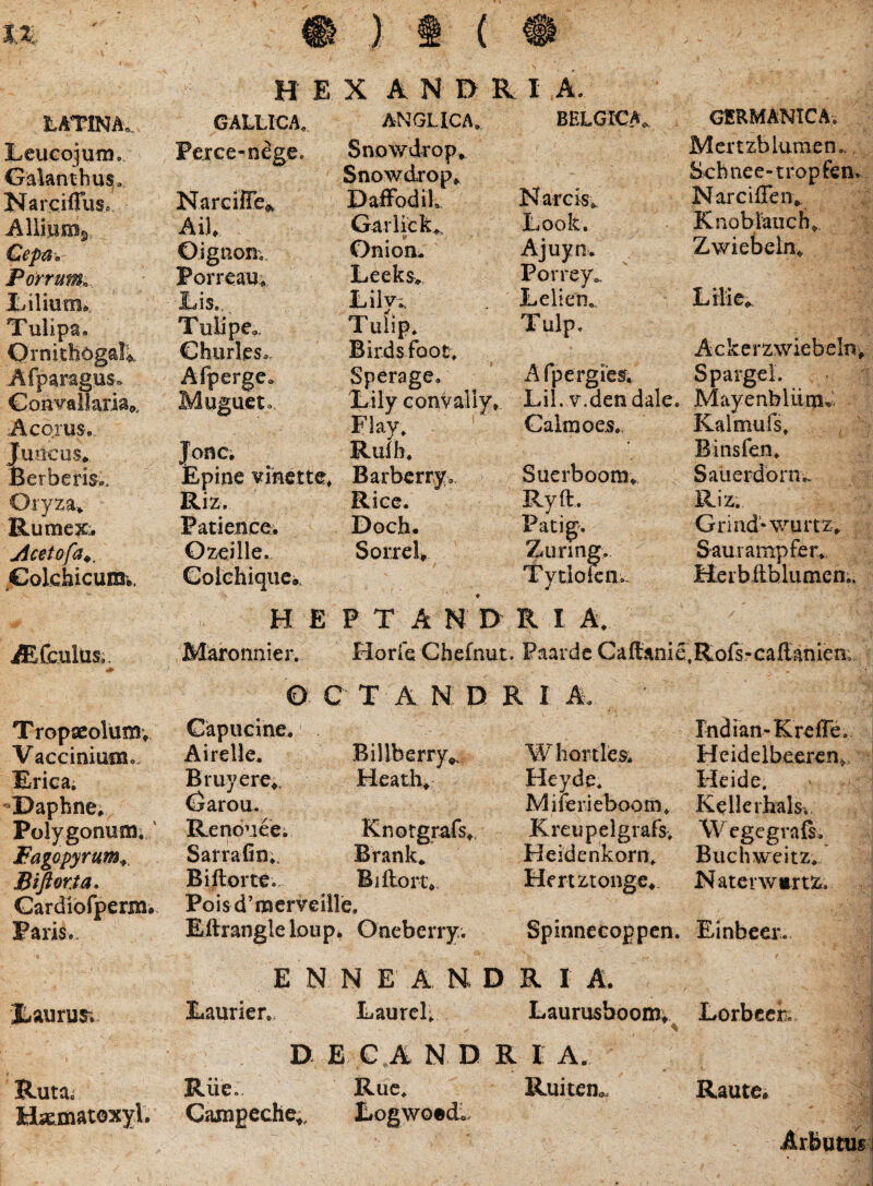LATlNAw LeuGojuni.. Gialanthus^ Narciffiis* AliiUlBr) Gcp^t) Porrum.. Xiilium* Tulipa. Qrnic!i6ga!k Afparagus. Goavallaria». Acorus. Juocus* Berberis-.. Oryza.* Rumex:. jicetofa^, ^Golchicuim. AEtulUsa. Tropseolumv Vacciniunic Erica; •Daphne. Polygonum;.' Fagopyrum^^ Biftorta. Gardiofperm. Paris.. Eaurus; Ruta. H^matoxyl. H E X ANDRI A. GALLICA. ANGUCA, BELGICA, GIRMANICA. Pexce-ndge. Snowdrop*. Snowdrop. Mertzblunien,. / Schiiee-tropfen. NarcilTe^ DafFodiL NarGis* NarGiffen*. Ai). Garlick*, Look. Knobfauch, Oigiion; Onion. Ajuyn. Zwiebeln* Porreau* Leeks* Porrey, JLis.,, Lilv-. Lellen. Lilie. Tulipe^. Tuiip. Tulp, Ackerzwiebelni Charles- Birds footv Afperge. Sperage. Afpergief, Spargel. Mugueto Lily Gonvally. Lil. v.dendale. Mayenbliim»'. Flay. Calmoes. Kalmufs. Jonc. Ruih. * Binsfen. Epine vihette. Barberry.. Suerboom. Sauerdbrn,. Riz> Rice. Ryft. Riz. Padence^ Doch. Patig. Grind-wurtz. Ozeille. SorreU Zuring. Sauiampfer., ColchiqiiCi,. t Tytlolcn- Herbftblumen.. H E P T A N D R I A. Maronnier. Florfe Chefnut. Paardc Caffanie.Rofs-Gaflanien;. O G Capucine. r T A n; n R r A. rndian-Kreire. Airelle. Billberry^ Wliortles. Heidelbeercn^ Bruyere.. Hcath. Heyde. Heide. Garou. Miferieboom. Kellerhals'.. Renouee; Knotgrafs.. Kreupelgrafs, Wegegrafs;. Sarra fin;. Brank., Heidenkorn. Buchweitz, B i ftor te. B1 ftort., Poisd^merveille. Hertztonge* Natcrw«rti&. Eilrangle loup, . Gnebeny. Spinnecoppcn. Einbeer. E N N E A H D R I A. JLautien Laurei; Laurusboom; Lorbccr. D. EGA N n R I A. Riie. Ruc. Ruiten^ Raute. Camgeche,, EogwoedL, I ArBntusj