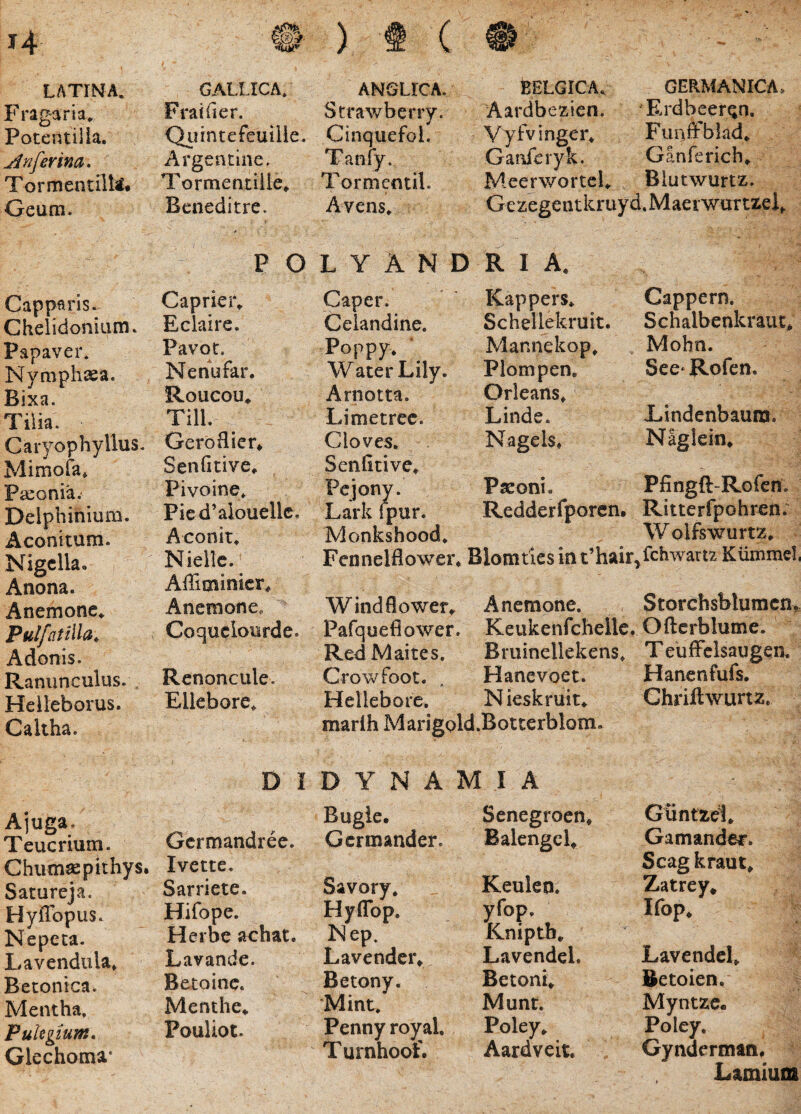 Fragaria, Potenti) ia. ferina, Tormentilli* Geum. Capparis- Chelidonium. Papaver* Nymphsea. Bixa. Tilia. Caryophyllus. Mimofa* Paconia. Delpbinium. Aconitum. Nigella. Anona. Anemone^ Pulfatilla^ Adonis. Ranunculus. Helleborus. Caltha. Ajuga. Teucrium. Chum^epithys. Satureja. HyiTopus. Nepeta. Lavendula» Betonica. Mentha, Pulegium, Glechoma* ® ) 4 ( @ Fraiher. Qlirntefeuilie. Argentine. Tormentille» Beneditre. Strawberry. Cinquefol. Tanfy. Tormcntil. Avens. Aardbezien. Vyfvinger. Ganieryk. Meerwortcl. GERMANICA. ErdbeerQO, FunfFblad* Ganferich^ Blutwurtz. Gezegentkruyd.Maerwurtzel^ P o L Y X N D R I A. Caprier» Caper. Kappers. Eclaire. Celandine. Schellekruit. Pavot, Poppy. Maniiekop. Nenufar. Water Lily. Plompen, Roucou^ Arnotta. Orleans. Till. Limetrec. Linde. Gerodier* Cloves. Nagels* SenGtive, SenGtive. Pivoine, Pejony. Pasonie Pied’aiouellc. Lark fpur. Redderfporen, Aconit. Monkshood. Niellc. Fennelflower. Blomties in t’hair. Affiminicr, Anemone. Windflower^ Anemone. Coquclourde. PafqueGower. Keukenfchelle. Red Maites. Briiinellekens. Rcnoncule. Crowfoot. . Hanevoet. Ellebore. Hellebore. Nieskruit. marlh Marigold.Botterblotn. D I D Y N A M I A Bugie. Senegroen* Gcrmandree. Gcrmander. BalengeU Ivette. Sarriete. Savory. Keulen. Hifope. HyGbp. yfop. Herbe achat. I^ep, Kniptb» Lavande. Lavendeiv Lavendel. Betoinc. Betony. Betonk Menthe» ’Mint. Munt. Pouliot. Penny royal. Poley. Turnhoof. Aardveit. Cappern. Schalbenkrauc* Mohn. See* Rofen. X,indenbauixi. Naglein* Pfingft-Rofen. Ritterfpohren. Wolfswurtz» fchwartz Ktimmeh Storchsblumcn> Oftcrblume. T euffclsaugen. Hanenfufs. Chrillwurtz. Giintzel* Gamander. Scag kraut^ Zatrey* Ifop* Lavendek Betoien. Myntze. Polejr. Gyndermati. Lamium