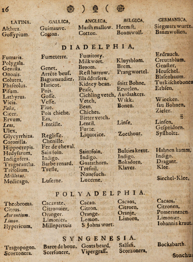 Altlirea. Goffypium. Fumariia. Polygala. Gen illa. Onoais. Coltirea^ Phafeolus. Pifum. Lathyrus. Vicia. Faba.^ Cicer. EiTurn* Lens^ Ulex. Glycyrrhiza. Coronilla. Hippocrepis. Hedyfarum. Indigo fera. T ragacantba. Trifolium. Melilotus, ^ Medie ago. Theobroma. Citrus. Aur antium. JJmon. Hypericum^ Tragopogon, Scorzonera. Guimauve. Marfhmailow. Heemd. Cofetoii. Cotton. Boomwolb D I A D E L P H I A, Fumeterre. Fumitory. KluysblonL Milkwort. Genet. Bi-oom, Brem, Arretc beuf# Rettbarrow. Prangwortel. Baguenaudier# Haricot. Bladderfera, Kidney bean. fnitt Bohne^ Pois. Peafe. Erv/elen. GolTe. Cichlingvetcb, , Aardaakers. Veffe. Veteh. Wikk. Fine. Bcan. Bon^n. Pois chiche. Cbiches. Ers. BitterYCteb. Linfc^ Lentiilc. Lcntik Regii ffe. Furzc. Liquor icCe ' Zocthout, Chenille. Fer de eheva!. Sainfoin. Samtfoin.. Bultieskraut. Indigo. Indigo, Indigo. Barbe renard. Goaesthorn. Boksdoro. Trefle. Trefoil. Klaver<. Noiiefuch. Luferne. Lucerne.. POL Y A D E L P H 1 A. Cacavate. Cacao. Citron. Cacaos,, Citronnier. Citroen. Oranger. Orange. Oranje.- Limonicr. Lcmon. l^iinocxi^ Millcpcrtuis S Jobnswort. S Y ,N G E N E S I A. Barce de boue* Goatsbeard. Salfafi. Scerfonere^ VipergrafE Scorzonera^ GERMANICA. Siegmarswurtz. Baumwollen* Erdraucb. Creutzblum* Gea-fter. Heufchel. Blafcnbaum. Turkifchebonefl Erbfen^ \ Wiecken. fau Bohnen» Zieler. S Linfen. Geipeldom, Syflholu. Habnen kamm; Indigo, Dragant, Klce. Skchel-Klcc^ Cacaos.' Citronen* Poraerantzcn. Limonier. Iohannis kraut. Bocksbarth. Sonebui