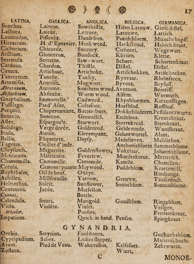 Sonchus. Lacluca. L.eontodon^ Hieracium. Cichorium. Arftium. Serratula. Carduus. Cynara. Tanacetum. Artemifia. Ahrotanum^ Ahfinthlum, Gnaphalium. Tuffilago. Petafites, Senecio. A der. iSolidago. jlnula. |Bellis. jTagetes. jChryfanth* Matricaria. Chamomilla. Cotula. Buphthaim, Achillea. Helinnthus. Centaurea. Cyanus^ Calendula. Viola. tricolor. Impatiens. i jOrchis. jCypripedium, ^rum. IZoftera. 40^ ) ( 17 Laitron. Sowthiftle. l^aitiie, Lettucc. Pidenlit. Dandelion. H.d’ Epervier. Haukwecd^ BELGICA. GERMANICA. HaienLatouw. Ganfcdidch Chicoree, Glouteron. Serrettc. Chardon. Artichaut» Tanede. Armoife* Auronne. Abfinthe. Immortelle.' Pasd’ Afne. Latouwe. Paardcbloem. H avkflcruid. Cichorei. Klitzen. Schaer. Didel. Succory Bundock. Saw- wort. Thidle. Artichokc. Tan fey. Mugwort. Southern wood. A veroon Worm wood. Aifem. Cudwecd.. Coltsfoot. Chaperonniere. Butter-burr. Senecon. Groandfel, Efpargou^e. Verge dor e Aunec. Paqiiercte. Oeillct d’ inde. Maguerite. Matricaire. Camomile. Camotnille. _ Camom: puante.May weed Oildebeuf. ^ Miilfeeuille. Soleit. Jacee^ Starwort. Goldenrod. Eleeampanc. Dayfy. Goldendower, Vokelaar. Feverkw. Moederkreut. Lattich. Miinchskopff. Habichkrauc. Wegewart. Klette. Schartenkrauc. Didel. Artifchokken. Artikhocken. Rynvaar. Rheinfaren. Byvoet. BeyfuiT, . BerreilT. , Wennuth. Rhynbloemen. Katzeiifotgcn. Hoefblad. Rodhuf. Dokkebladeren.PediIent2wurtz. Endeloos. ’ Krcutzkraut* Sterrekruid. Sternkraut. Gelderoede. Wundkraut, Galantwortel. Alant* Madelieven. Mafslieben/ Anthonisbloem.Sammetblumc. Johannisblume. Metterich, Kamile. PaddebloiH. Souci. Violete. Oxeye. Y arrow. Sunflower, Matfellon. Bottle. Marigold. Violet. Pandes. Qiiick in hand. Penfen. Geruwe. Sonneblom Goudblom. GYNANDRIA* Satyrion. Fool dones. Sabot. Ladies dippcr* PieddeVeau. Wakerobin. Kalfsfoct. Wiert. Chamillen, Kraetentill. Rindsaiige. Taufenbadt. Sonnenbiume. 'Ringeblum. Veilgen. Freiiarrikraut. Spingkraut Guckucksbliim, JVdarienfchuch. Zehrwurtz. MONDE.