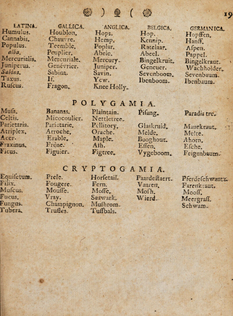 Hiimulus. Cannabis*. Populus. alba, Mercurialis> Juniperus. - Sabina, Taxus. Ruicus. Mufa* Celtis. Parietaria. Atriplex^ Acer. FraxinuSv Ficus*. Equifetum. Filix. Mufcus. Fucus*, FungaS'. Tubera^ 'ANGLICA* BELGICA, GERMANICA. Houblon, ^“^'1 Hops. Hop. HopfFen*. C hauV re. Hemp*. Kennip. HaniE Teemble, Poplar. Ratciaar,. Afpeii. Pcuplicr*. Abele/ AbecL PaupeL Aiercuinaie. Mercury* Bingelkruit^ 1 i Bingelkraur. Ij-encvTier. Juni per. Gcneuer, Wachhoider*^ Sabiniu Savin. Sevenbootn, Sevcnbauai. IL Fragon, Ycw. Knee Holly.. Ibenboom* , . J. \ , Ibenbaum* P O V.. L \r G A M I A. *• Bananas. Micocoulier.- Plaintain. Net ciet ree,. l^ifang. Paradis trcU Parktarie^ Fcllitory^ Glaskruid'*, Maorkraut^ Arroche^ Oiciche.^ Melde, Mei te.. Erable^ Maplc'.. Boogliouc.. Ahorn, Frenc. Alh. ElTen. Efche. Figuier*. Figtree*, V ygeboom*. Feigenba.umC s C R Y P T O G A M r A. Prefc. Horfetaib Paardellaert*. / Pferd'erciiwant'4.> F^ougerc.- Fern, VaarciT*, Fareitkraut». MoufTe. Mofie. Mofh. AloofT. Vray. M SGa^vark.- Wierd.- Meergraff. Champignon. Trufles. Mufhromw. TuiTbals. Schwaniv »