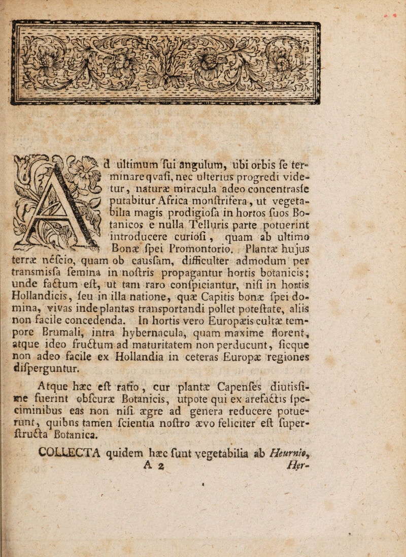 S liltimum Tui angulum, liSi orbis fe ter» minareqv^fi, nec ulterius progredi vide- ’tur, naturas miracula adeo concentrasfe putabitur Africa monftrifera , ut vegeta¬ bilia magis prodigiofa'in hortos fuos Bo- tanicos e nulla Telluris parte potuerint 'introdueere curiofi , quam ab ultimo Bonse fpei Promontorio* Plantas hujus terras nefcio, quam ob causfam, difficulter admodum per transmisfa femina inmoftris propagantur hortis botanicis; unde fatlum eft, ut tam .raro cotilpiciantur, uiifi in hortis, Hollandicis, 'feu in illamatione, quas Capitis bonas fpei do« mina, vivas inde plantas transportandi pollet poteftate, aliis non facile concedenda.' In hortis vero Europasis cultas tem¬ pore Brumali, intra 'hybernacula, quam maxime florent, atque ideo frudlum ad maturitatem non perducunt , ficque non adeo facile ex Hollandia in ceteras Europse regiones difperguntur. Atque hasc 'eft ratio., cur 'plantas Capenfes ^diutisfi-^ me fuerint obfcuras Botanicis, utpote qui ex arefadbis Ipc- cimmibus eas non nili asgre ad genera reducere potue¬ runt, quibns tamen fcientia noftro asvo feliciter eft fuper- ftrufta Botanica. COLLECTA quidem hccc fuat vegetabilia ab Heurnisy A 2 Her- t