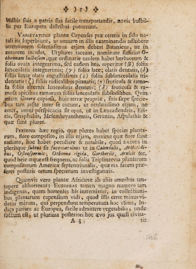 *^ ) T ) ^ fetilbis fuis a patria fua facile transportandis^ novis bulbll^^ !is per Europam diftribui potuerunt Varietatibus plantae Capenfes prae ceteris in-folo na»' tali ita fuperbiunt, ut omaera in illis examinandis adhibere - attentionem folertisfimus etjam debeat Botanieus, ne la ^ errorem incidat, Utpliires taceam, nominare fufficiatO-* thonnam hulbofam ordinarie caulem habet herbaceum (5c folia ovata integerrima, fed eadem heit reperitur (/3 ) foliis lanceolatis integerrimis; {y} foliis lace; olatis dentatis, (1^' foliis lance olatis anguftisfimis ( r) foliis fublanceolatis tri- dentatis (^) foliis radicalibuspinnatis; (^)ffuticofa & ramo-^ fa foliis alternis lanceolatis dentatis; (i) fruticofa 6c ra—” mofa apicibus ramorum foliis lanceolatis fubfesfilibus^ Qvin i etiam Genera copioGi, huic terrx propriae, fuis fepe fpecie^ l)us tam arfte inter fe coeunt, ut ocnlalisfimo etjarn, ne ^ erret, omni perfpicacia fit opus, ut in Leiicadendris, Eri* cis, Gnaphallis, Mdembryanthemis, Geraniis, Afpalathis qu^ funt plures. •' Praeterea haec regio, qnx plures habet fpecies planta¬ rum, flore compofito, in illis etjam, maxime quae flore funt - radiato, hoc habet peculiare 6c notabile^ quod radius ia- plerisque y«^/»r fit fuco-c^eruleui ut in CaknduUsy Arttotldi^ - Ofieofpermis\ Qtboma rigida^ GortheritSy Anticis 6(C^ quod heic seque eft frequens, ac folia Triplinervia pJantaruni ^ compofitarum America: ftpfentrionalis, quaeres facem pr^“- - feret pofteris ortum fpecierum inveftigaturis. Quamvis vero plantae Africanae ah ^aliis omnibus tan¬ topere abhorreant: Eukupeas tamen rqagno numero tam indigenas, quam hortenles his intermixtas, in colleftioni^ bus plantarum capenfium vidi, quod illis certe minus vi» detur mirum, qui perpendunt temperatum hoc clima, In¬ dica paritex ac Europea, facile admittere vegetabilia j unde, fadumeft, ut plqrima pofterioriboc apvo jus quali civita¬ ti.^ \ I