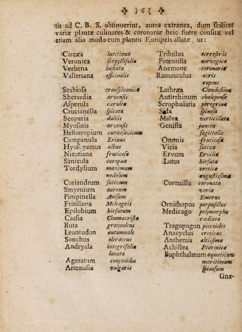 ttis-ad C*;B. 'S* oMnueriiit, .antea extranea, dum Tcilicet variae plantae culinares'& coronariae heic fuere confitae vel etiam .alio imodovcum.pkntis ?Eoropeis.allat« Circaea Veronica Verbena Walleriana ScabioTa Sherardia 'Arperula 'Crucianella Scopar ia Myofotis Heiiotropium Campanola Hyofcyarnus Nicotiana ‘Saniciila ‘Tordylium Coriandrum Smyrnium Pimpineila Fritillaria Epiiobiom Casfia Ruta Leontodon Sonchos Andryala Ageratiim Artemifia 'duteimna ferpylBfoUa. ^ hajiata d£icinalis 'trcmfylvanlc^ arvenfis - c<erule'Si [picam '' cdulch ^mrvenfis (€urasfa.vkum Erinus > albus fruticofa t europieu makimum 'fiodofum fativmt aureum . Anlfum Meleagris hirfutum Chamacrlfin graveolens mtumnale oleraceus integrlfolm lanata conyzofdes vulgdris Tribulus Potentilla Anemone Ranunculus Lathraca -Malvt Cenifta Ononis Vicia lErvum Jiotus Coronilla , ut; ‘ierreftris norvegica ^eoronarlw acris [agittalls [ruticofei jativa Ervilia hirfuta cretica angufiisJimM coronata vana Emeras 'Ornithopus >perpuftllus Medicago polymorpha. radiata Tragopogon picroides A na cyclus creticus Antherais dtisfima Achillea Ptarmica Buphthalmum aquaticum maritimum ^inofum Gn5- . repens ‘Clandefiinat Antirrhinum chalepenfe .'Scrophularia peregrina Sida verticillata juncea