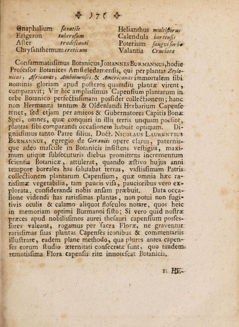 Snaphalium* faxatik Erigeron tuberofum A ft e r tradefcantl ChYy£mihemum eretUum Helianthus multiflorus C a 1 e n d al a hortenjis Poterium faugmforbm' Valantia Cruciata \ Confammatisfjmus BotanicusJohannes^Burmannusjhodie Profesfoi: Botanices Amfielcdamcnfis, qui per plantas nicas j Africanasy Amboinenfes ^ Americanas libi nominis gloriam apud poileros quamdiu plantge virent ^ comparavit; Vir hic amplisfimus Gapenfium plantarum in orbe Botanico ^perfeftisfimam posfidet colleftionem;.hanc non Hermanni tantum & OIdcnIandi Herbarium Capenfe tenet, fcd etjam per amicos & Gubernatores Capitis Bonae Spei, omnes, qu'^ conquiri in illis terris unquam posfint,.. plantas fibi comparandi occafionem Habuit optiinam. Di- 'gnisiinius taftto Patre filius. DoS, Nicolaus Laurentius BuRMAN^kus, egregio de Geraniis opere claj^us, paternis- que ad^o mafcule in Botanicis infiftens. veftigiis, maxi¬ mum utique fubfecuturis diebus promittens incrementum fcientia Botanicae,, attulerat, quando aeftivo hujus annii tempore borcales has falutabat terras,- vaftisfimam Patris^ collccjionem plantarum Capenfium,- quse omnia haec ra- risfimae vegetabilia, tam* paucis vifa, paucioribus vero ex^ plorata..confiderandi nobis anfam pr^buih. Data occa— fione videndi has rarisfimas. plantas , non potui non fugi* tivis oculis & calamo aliquot flofculos notare, quos heic' in memoriam optimi Burmanni fiflo; Si vero quid noflrae: praeces apud nobilisfimos aurei thefauri capenfium posfes-' fores valeant, rogamus per Tacra Florae, ne graventur rarisfimas fuas plantas.Capenlesiconibus 6c^ commentariis, illuftrarc, eadem plane methodo, qua plurt:?s antea capen- fes eorum Itudio aeternitati confecratac funt, quo tandens^^ remotisfima Flora, capenfisjc rite* innotefeat Botanicis^. . KE- r /