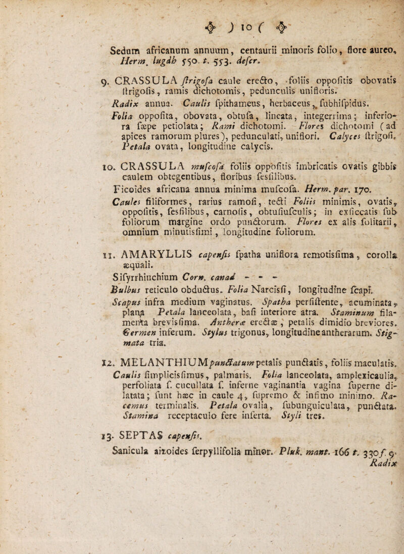V ^ j 10 4' Sedom africanum annuum, centaurii minoris folio, flore aureo, Herm^ lugdh 5'50. t. 55'3, defer. 9. CRASSULA firigofa caule ere^lo, >fo]iis oppolltis obovatis (Irigofis, ramis dichotomis, pedunculis unifloris. Radix annua. Caulis fpithameus, herbaceus ^ fubhifpidus, Folia oppofita, obovata^ obtufa, lineata, integerrima; inferio^ ra fsepe petiolata; Rami diebotomi. Flore% dichotomi (ad apices ramorum plures), pedunculan\ uniflori» Calyces ilrigofi. Petala ovata, longitudine calycis. 10. CRASSULA mufeofd foliis oppbfltis imbricatis ovatis gibbis caulem obtegentibus, floribus fesiilibus. ^ FicQides africana annua minima mufeofa. Herm. par, 170. Caules filiformes, rarius ramofi,.te6li Foliis minimis, ovatis^ -oppofitis, fesfllibus, carnolis, obtuflufculis; in exiiccatis fub foliorum margine ordo pimdlorum. Flores ex alis folitarii,. omnium minutislimi, longitudine foliorum. 11. AMARYLLIS capenfis fpatha uni flora remotis fima, corolla sequali. Sifyrrhinchium Corn, canad - Bulbus reticulo obduiSus. Narcfsfi, longitudine fcapL Scapus infra medium vagihatus. Spatha perfifiente, ricuininata> plgn,a Petala lanceolata, bafi interiore atra. Staminum fila* merAa brevisflma. Antheree eredi as , petalis dimidio breviores. €ermen inferum. Stylus trigonus, longitudineantherarum. Stig¬ mata tria. X2. MEpetalis pundlatis, foliis maculatis. Caulis fiinplieisfimus, palmaris. Folia lanceolata, ampiexicaulia,. perfoliata f. ciicullata f. inferne vaginantia vagina fuperne di¬ latata; funt hasc in caule 4, fupremo & infimo minimo. Ran¬ cemus terminalis. ovalia, fubunguiculaia, pundlata.. Stamina receptaculo fere inferta. Styli tres. 13. SEPTAS capenfis, Sanicula aiioides ferpyllifolia minor. PM. mant. -i66 t. 330/ 9« Radix /