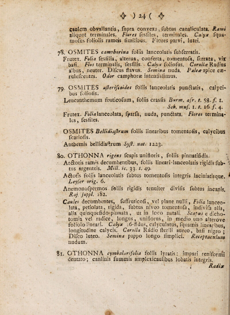 caulem obvallantia^ fupra convexa, fubtus canaliculata. Rami aliquot terminales. Flares fesiiles, terminales. Cal‘^x fqua- oiofus foliolis rameis (imilibus. Flores parvi, lutei. 7S. OSMITES camphorina foliis lanceolatis fubferratis. Frutex. Folia fesfilia, alterna, conferta, tomeiitofa, ferrata, vir bafi. F/or terminalis, fesfilis. foliofus. CorolU albus , neuter. Difcus flavus. Semina nuda. Paleae itplcQ es- rulefcentes. Odor camphorss intenilslimus. 79. OSMITES afterifioides foliis lanceolatis pumSlatis, calyci¬ bus foliolis. Leucanthcmum fruticofum, foliis crasfls Burm, afr, t, 5'8-/‘ - SeF muf. I. t. 16. f. 4. Frutex. Fo/Z^lanceolata, fparfa, nuda, pundata. Flores termina¬ les, fesliles. OSMITES BellidiaJlrHm foliis linearibus tomentofis, calycibus fcariofis. Antbemis bellidiaftrum Syjf, nat> 1223. 'v' 80. OTHONNA rigens fcapis unifioris, foliis pinnatifldls. ' Arflotis ramis decumbentibus, foliis lineari-lanceolads rigidis fub- ? tus argenteis. Mill. ic\ 33, 49, AdotTs folifs lanceolatis fubtus tomentofis integris laciniatisque. ^ Leyfer orig. 6. ^Anemonofpermos foliis rigidis tenuiter divilis fubtus mcailis. ^ Raj. juppL 182. Caules decumbentes, fuffruticofi, vel plane nulli, Folia lanceo- lata, petiolata, tigida, fubtus niveo tomentofa, indivifa alia alia quinquefldo-pinnata , ut in loco natali. Scapus e dicho- tomia vel radice, longus, unifiorus, in medio uno alterove foliolo lineari. Calyx 16-fidus, caiyculatus, fquamis linearibus, longitudine calycis. Corolla Radio flerili aureo, bali nigro ; Difco luteo. Semina pappo longo limplici. Receptaculum nudum. 81. OTHONNA cymhalurifolia foliis lyratis: impari reriiformi dentato; canlinis fummis anipkxicaulibus iobatis integris. Radix \ «