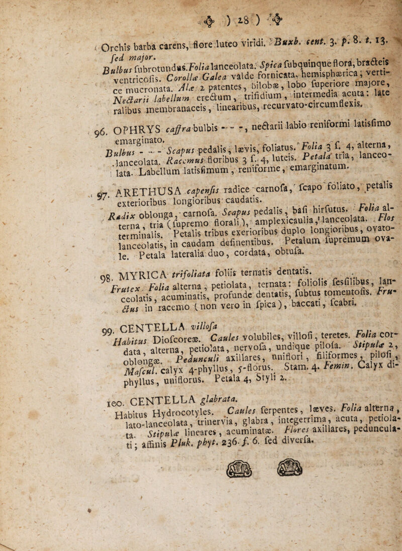 ■ : ) is') Orchis barba carens,tfiore^uteo viridi. I Buxi. ee»t. 3. />. 8. #. 13. fubrotund«s.F()/;<*lance6!ata; fubquinqueflora,^braaeis ^ vp.ntricofis. CorolU.GaUa-vMs fornicatavhemisph®nca, verti- re r^ucroMta! a patentes, bilob*, lobo fiiper.ore majore,,, ' NeBarii We//»»» • eredum ,- .trifidmm , ’intermedia acuta. Ute , , ralibus membranaceis,-linearibus, recurvato-circumflexis. 96. OPHRYS <;^j7ra’bulbis -- -, nedarii labio reniformi ktisfimo --\Sfap«r pedalisvl®'vis,’foliatus.'Fo/k 3 f._4, alterna, ■ ^ iSeolata. iU, kteis. PefaU tna, lanceo- -Labellum latisfimum ,veniform^ 07 ARETHUSA radice-Garnofa,' fcapo fouato, peta 1 exterioribus longioribusi caudatis. • c , ^ R^lix oblonga, carnofa. drispar pedalis,' bafi hirfutus. Ft/w al¬ terna tda(fupremo floralb, - amplexicaulia,' lanceolata. teimiiViis ^Petalis tribus exerioribus duplo longioribus, ov^ato- : lan«olatis in caudam definentibus. rPetalum fupremum ova- i le. ‘ Petala lateralia.duo, cordata, obtula. no -MYRICA-#r>fo/Mfn foliis ternatis dentatis. ^ alterna, petiolata, ternata: foliolis fesfilibus, lan- ceolatis, acuminatis, profunde dentatis, fub^^^^^^ r«' £ius in racemo (. non vero m ,fpica ), baccati, icabti. 00 CENTELLA »///«/(« ^Habitus Diofcore®. Caules volubiles, villofi, teretes, ^«/'■« cor¬ data alterna, petiolata, neryola, undique P'ok. Stipula z, oblongT PeLueuli axillares, nniflori, filformes pdofi Ma/fw/. calyx 4-phyltus , y-florus Stam._4. Femm. Calyx di phyllus, uniflorus. Petala 4, Styli z. leo. CENTELLA glabrata. i- ;• u» n ' Habitus Hydrocotyles. Caules ferpentes, Iseves. Fo/m altbrna , lao-lanceolata, trinervia, glabra, integerrima, acuta, pet,oa- ta UpuU lineares, acuminata. Neres axillares, peduncula-