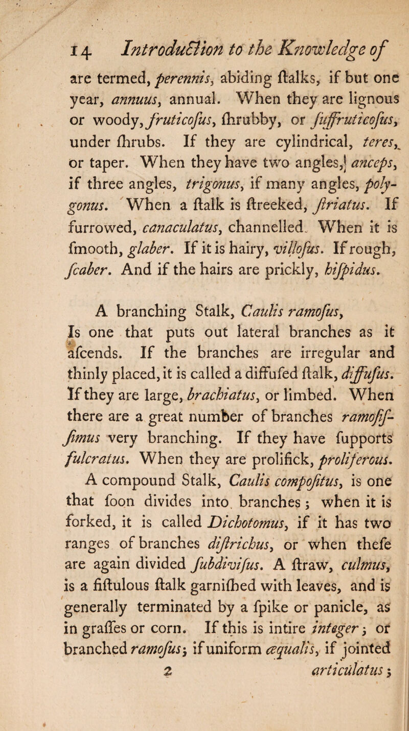 are termed, perennis9 abiding ftalks, if but one year, annuus, annual. When they are lignous or woody, fruticofusy ftirubby, or fuffruticofus, under fhrubs. If they are cylindrical, teres K or taper. When they have two angles,] anceps, if three angles, trigonus, if many angles, poly- gonus. When a ftalk is ftreeked, jlriatm. If furrowed, canaculatus9 channelled. When it is fmooth, glaber. If it is hairy, 'villofus* If rough, fcaber. And if the hairs are prickly, hifpidus. A branching Stalk, Caulis ramofus9 Is one that puts out lateral branches as it afcends. If the branches are irregular and thinly placed, it is called a diffufed ftalk, diffufus. If they are large, brachiatus, or limbed. When there are a great number of branches ramojif- Jimus very branching. If they have fupports fulcratus. When they are prolifick, proliferous. A compound Stalk, Caulis compofitus, is one that foon divides into, branches; when it is forked, it is called Dichotomusy if it has two ranges of branches dijlrichus, or when thefe are again divided fubdivifus. A ftraw, culmus9 is a fiftulous ftalk garnifbed with leaves, and is generally terminated by a fpike or panicle, as in grafles or corn. If this is intire integer > or branched ramofus-y if uniform cequalis9 if jointed 2 articiilatus 5