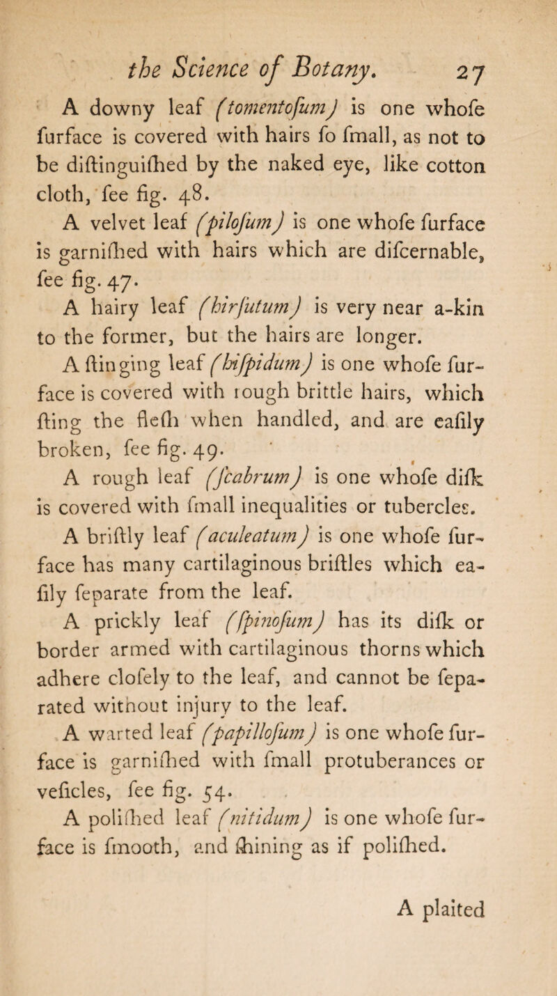 A downy leaf (tomentofumJ Is one whofe furface is covered with hairs fo fmall, as not to be diftinguifhed by the naked eye, like cotton cloth, fee fig. 48. A velvet leaf (pilofumJ is one whofe furface is £arnifhed with hairs which are difcernable, fee fig. 47. A hairy leaf (hirjutum) is very near a-kin to the former, but the hairs are longer. A flinging leaf (hifpidum) is one whofe fur- face is covered with iough brittle hairs, which fling the fleflh when handled, and are eafily broken, fee fig. 49. A rough leaf (Jcabrum) is one whofe difk is covered with fmall inequalities or tubercles. A briftly leaf (aculeatum) is one whofe fur- face has many cartilaginous bridles which ea¬ fily feparate from the leaf. A prickly leaf (fpinofiimJ has its difk or border armed with cartilaginous thorns which adhere clofely to the leaf, and cannot be fepa- rated witnout injury to the leaf. A warted leaf fpapillofumj is one whofe fur- face is garnifhed with fmall protuberances or veficles, fee fig. 54. A polifhed leaf fnitidum) is one whofe fur- face is fmooth, and finning as if polifhed. A plaited