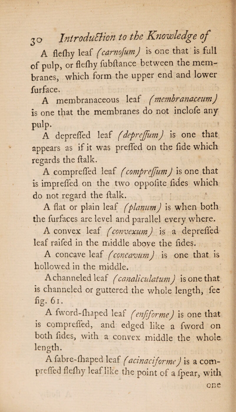 \ 3 o Introduction to the Knowledge of A flelhy leaf fcarnofumj is one that is full of pulp, or flefliy fubftance between the mem¬ branes, which form the upper end and lower furface. A membranaceous leaf (membranaceum) is one that the membranes do not inclofe any pulp. A depreffed leaf (deprejjum) is one that appears as if it was prelfed on the fide which regards the ftalk. A eomprefled leaf (comprejfumJ is one that is imprefled on the two oppofite fides which do not regard the ftalk. A flat or plain leaf fplanum) is when both the furfaces are level and parallel every where. A convex leaf (convexumJ is a depreffed leaf raifed in the middle above the fides. A concave leaf fconcavumJ is one that is hollowed in the middle. A channeled leaf (canaliculatum) is one that is channeled or guttered the whole length, fee fig. 61. A fword-fliaped leaf (enjiformeJ is one that is eomprefled, and edged like a fword on both fides, with a convex middle the whole length. A fabre-fhaped leaf facinacijormeJ is a com- preffed flefliy leaf like the point of afpear, with one