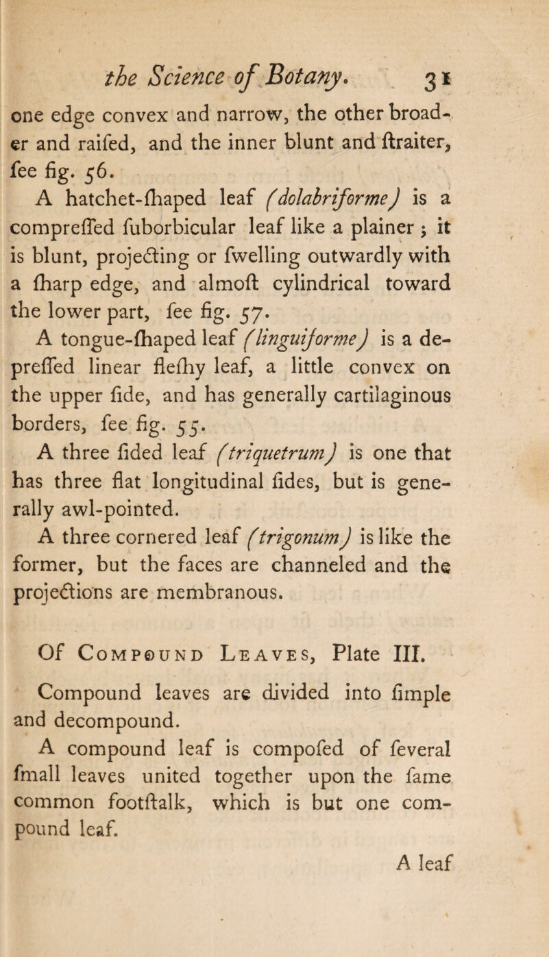 one edge convex and narrow, the other broads er and raifed, and the inner blunt and ftraiter, fee fig. 56. A hatchet-fhaped leaf ('dolabriforme) is a compreffed fuborbicular leaf like a plainer it is blunt, projecting or fwelling outwardly with a fharp edge, and almoft cylindrical toward the lower part, fee fig. 57. A tongue-thaped leaf (linguijorme) is a de- preffed linear flefhy leaf, a little convex on the upper fide, and has generally cartilaginous borders, fee fig. 55. A three fided leaf (triquetrum) is one that has three flat longitudinal tides, but is gene¬ rally awl-pointed. A three cornered leaf (trigonum) is like the former, but the faces are channeled and the projections are membranous. Of Compound Leaves, Plate III. . ’ - y Compound leaves are divided into fimple and decompound. A compound leaf is compofed of feveral fmall leaves united together upon the fame common footftalk, which is but one com¬ pound leaf. A leaf