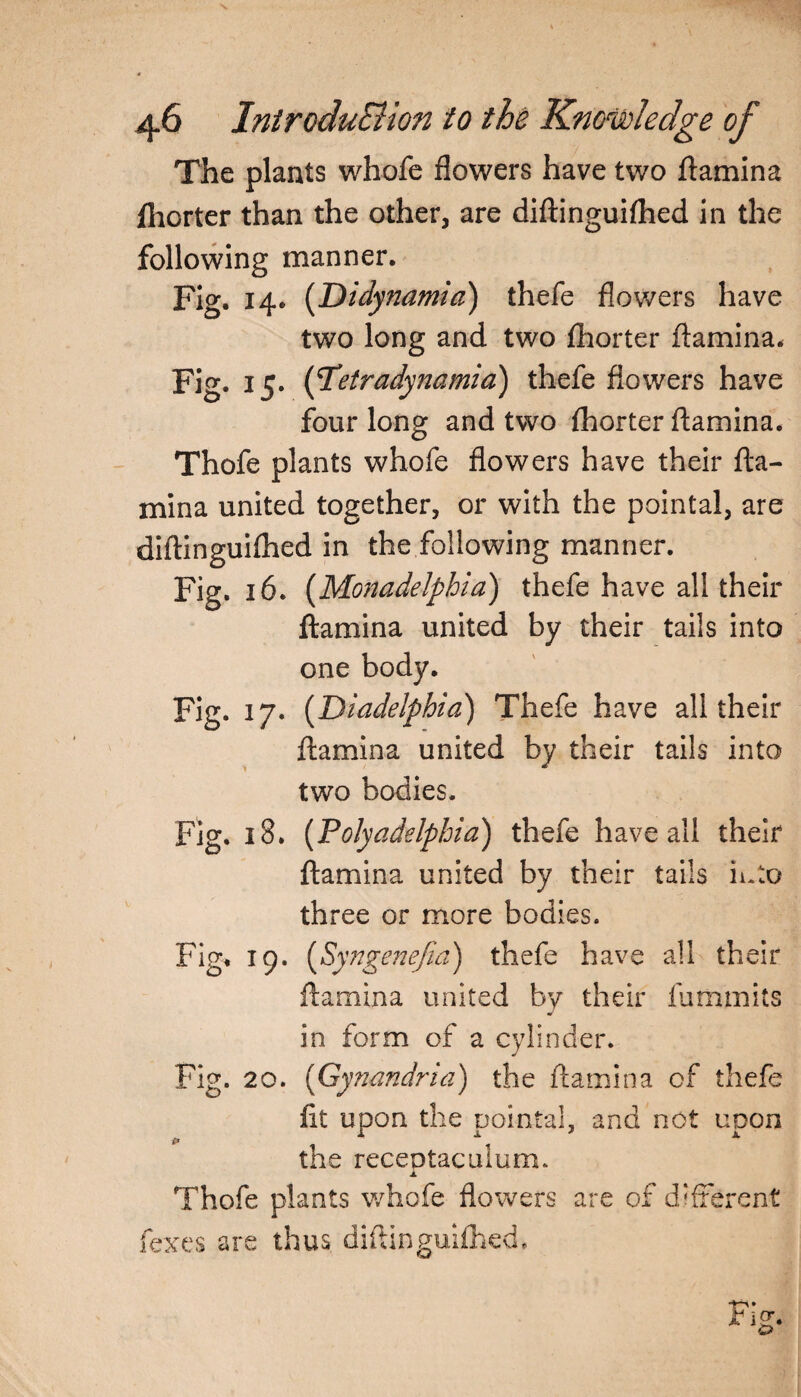 The plants whofe flowers have two ftamina fliorter than the other, are diftinguiftied in the following manner. Fig. 14. (Didynamia) thefe flowers have two long and two fhorter ftamina. Fig. 15. (fetradynamia) thefe flowers have four long and two fhorter ftamina. Thofe plants whofe flowers have their fta¬ mina united together, or with the pointal, are diftinguifhed in the following manner. Fig. 16. (Monadelphia) thefe have all their ftamina united by their tails into one body. Fig. 17. (Diadelphia) Thefe have all their ftamina united by their tails into two bodies. Fig. 18. (Polyadelphia) thefe have all their ftamina united by their tails iuto three or more bodies. Fig. 19. (5; mgenefia) thefe have all their ftamina united by their fummits in form of a cylinder. Fig. 20. (Gynandria) the ftamina of thefe fit upon the pointal, and not upon the receptaculum. Thofe plants whofe flowers are of different fexes are thus diftinguiftied. Fig.