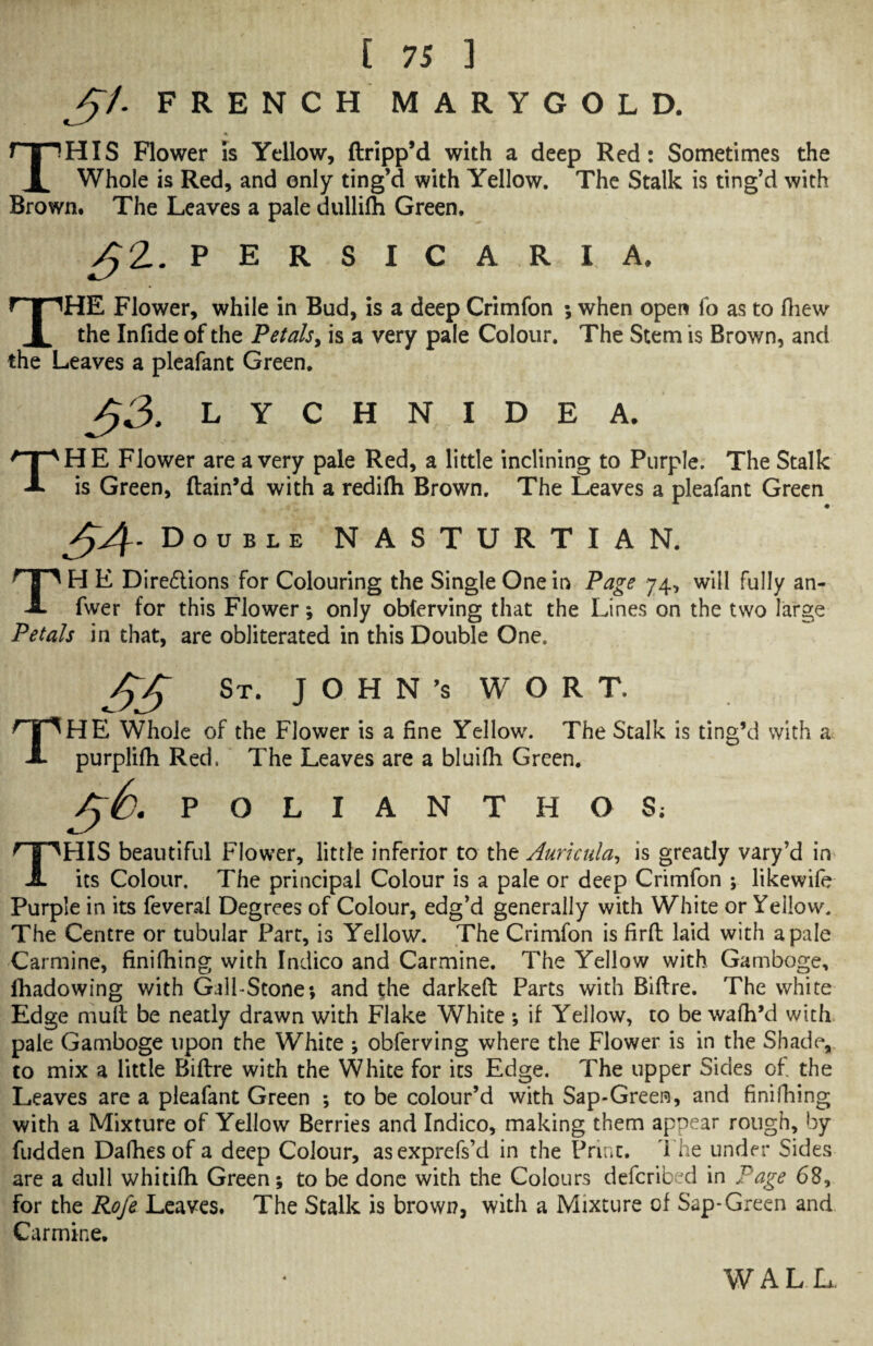 3/- FRENCH MARYGOLD. THIS Flower is Yellow, dripp’d with a deep Red: Sometimes the Whole is Red, and only ting’d with Yellow. The Stalk is ting’d with Brown. The Leaves a pale dullifh Green. PERSICARI. A. THE Flower, while in Bud, is a deep Crimfon ; when open fo as to fhew the Infide of the Petals, is a very pale Colour. The Stem is Brown, and the Leaves a pleafant Green. 33 lychnidea. THE Flower are a very pale Red, a little inclining to Purple. The Stalk is Green, ftain’d with a redifh Brown. The Leaves a pleafant Green 34' Double NASTURTIAN. TH E Directions for Colouring the Single One in Page 74, will fully an- fwer for this Flower; only obferving that the Lines on the two large Petals in that, are obliterated in this Double One. 43 St. J O H N ’s WORT. THE Whole of the Flower is a fine Yellow. The Stalk is ting’d with a purplifh Red. The Leaves are a bluifh Green. POLIANTHOS; THIS beautiful Flower, little inferior to the Auricula, is greatly vary’d in its Colour, The principal Colour is a pale or deep Crimfon ; likewife Purple in its feveral Degrees of Colour, edg’d generally with White or Yellow. The Centre or tubular Part, is Yellow. The Crimfon is firfb laid with a pale Carmine, finifhing with Indico and Carmine. The Yellow with Gamboge, fhadowing with Gall-Stone; and t;he darkeft Parts with Biftre. The white Edge mult be neatly drawn with Flake White ; if Yellow, to be wafh’d with pale Gamboge upon the White ; obferving where the Flower is in the Shade, to mix a little Biftre with the White for its Edge. The upper Sides of the Leaves are a pleafant Green *, to be colour’d with Sap-Green, and finifhing with a Mixture of Yellow Berries and Indico, making them appear rough, by fudden Dafhes of a deep Colour, asexprefs’d in the Print. The under Sides are a dull whitifti Green; to be done with the Colours defcribed in Page 68, for the Rofe Leaves. The Stalk is brown, with a Mixture of Sap-Green and Carmine. WALL.