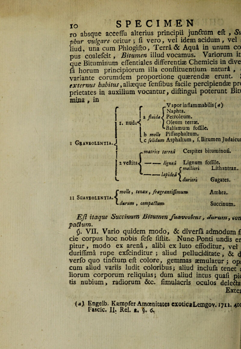 ro absque acceffu alterius principii junftum eft , Sk phur vulgare oritur ; fi vero, vel idem acidum, vel ; liud, una cum Phlogiflo, Terra & Aqui in unum co pus coalefcit, Bitumen illud vocamus. Variorum it que Bituminum eflentiales differentia; Chemicis in dive fi horum principiorum illa conftituentium naturi , > variante eorumdem proportione quaerendae erunt. ! externur habitus, adaeque fenfibus facile percipiendae pr< prietates in auxilium vocantur, diftingui poterunt Biti mina , in * r Vapor inflammabili$(<0 I | Naphta. I a fluida^ Petroleum, i. nud<X 2 Graveolentia.,J ] Oleum terrae. I ^Balfamum foffilc. I b molit Piffasphaltum.. Cc [olidum Asphaltum, f.Bitumen Judaicui 1 -matrice terrea Cespites bituminoll. i veftita^-lignea Lignum follile. r molliori Lithantrax. > lapidea { L duriori Gasates, C molle, tenax f fragrantiffimum- Ambra.- ii Suaveolentia.% L durum , compattum Succinum- EJl itaque Succinum Bitumen Jleavcvtcns ? durum, non pattum. 0. VII. Vario quidem modo, & diverfa admodum f! cie corpus hoc nobis fefe ftftit. Nunc Ponti undis er pitur, modo ex areni, alibi ex luto effoditur, vel duriffima rupe exfeinditur ; aliud pelluciditate, & d verfo quo tintturu eft colore, gemmas aemulatur ; opj cum aliud variis ludit coloribus; aliud inclufa tenet i liorum corporum reliquias; dum aliud intus quafi pi( tis nubium, radiorum &c. limulacris oculos dele&a; Extei («) Engelb. Kampfer Amcenitate» exoticatLemgov. mi. xtc