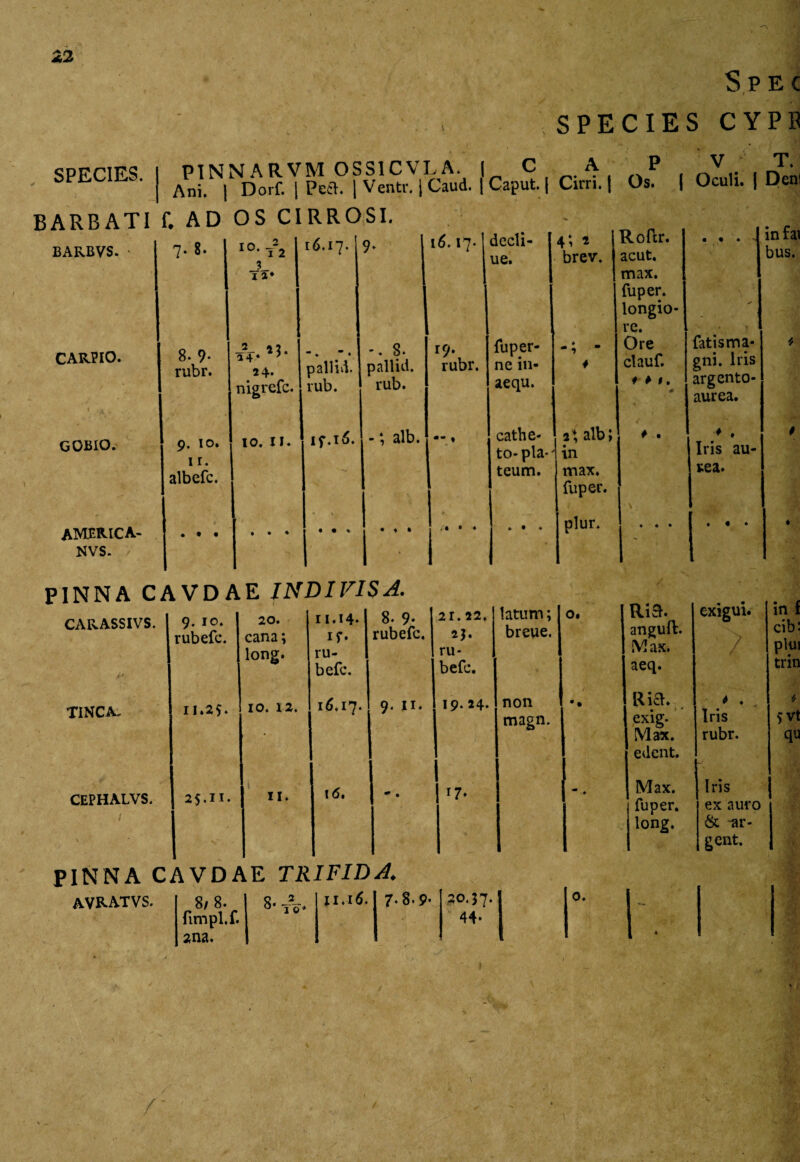 Spec SPECIES CYPB P1NNARVM OSSICVLA. | C A P V T. Ani. | Dorf. | Pcft. |Ventr.|Caud. | Caput. | Cirri. | Os. | Oculi. | Deni SPECIES. / BARBATI f. AD OS CIRROSI. BARBVS. 7. 8. 10. - 1 2 JL x a* 16.17. CAR.PIO. 8. 9- rubr. ' X GOBIO. 9. io. 1 r. albefc. 2 4* nigrefc. 10. 11. pallid. rub. 16.17. dedi- ue. 4; 2 brev. AMERICA- NVS. • t • if.16. -. 8. pallid. rub. -; alb. r9\ rubr. fu per¬ ne iii- ae qu. , • • ♦ cathe¬ to-pia* teum. 2*, alb; in max. fuper. Rofir. acut. max. fuper. longio¬ re. Ore clauf. f * 0. . . . Jinfai I bus. plur. fatis ma¬ gni. Iris argento- aurea. * . Iris au- tea. * . • » CARASSIVS. 9. IO. rubefe. 20. cana; long. 11*14- If- ru¬ befe. 8. 9- rubefe. 21.22. 2$. ru¬ befe. latum; breue. 0. Ri3. anguft. (V! ax. aeq. exigui. ; TINCA, 11.25. 10. 12. 16.17. 9. 11. 19. 24. non magn. -• R ici. exig. Max. edent. * . Iris rubr. CEPHALVS. 1 \ ■ 25.11. 11. 16. -. 17- Max. fuper. long. Iris ex auro & -ar- gent. PINNA CAVDAE TRIFIDA. avratvs. 8/ 8. fimpl.f. 2na. 8- TO- 11.16. 7.8.9- 20.37. 44- 0. 1. in f cibi plui trin $ vt qu /