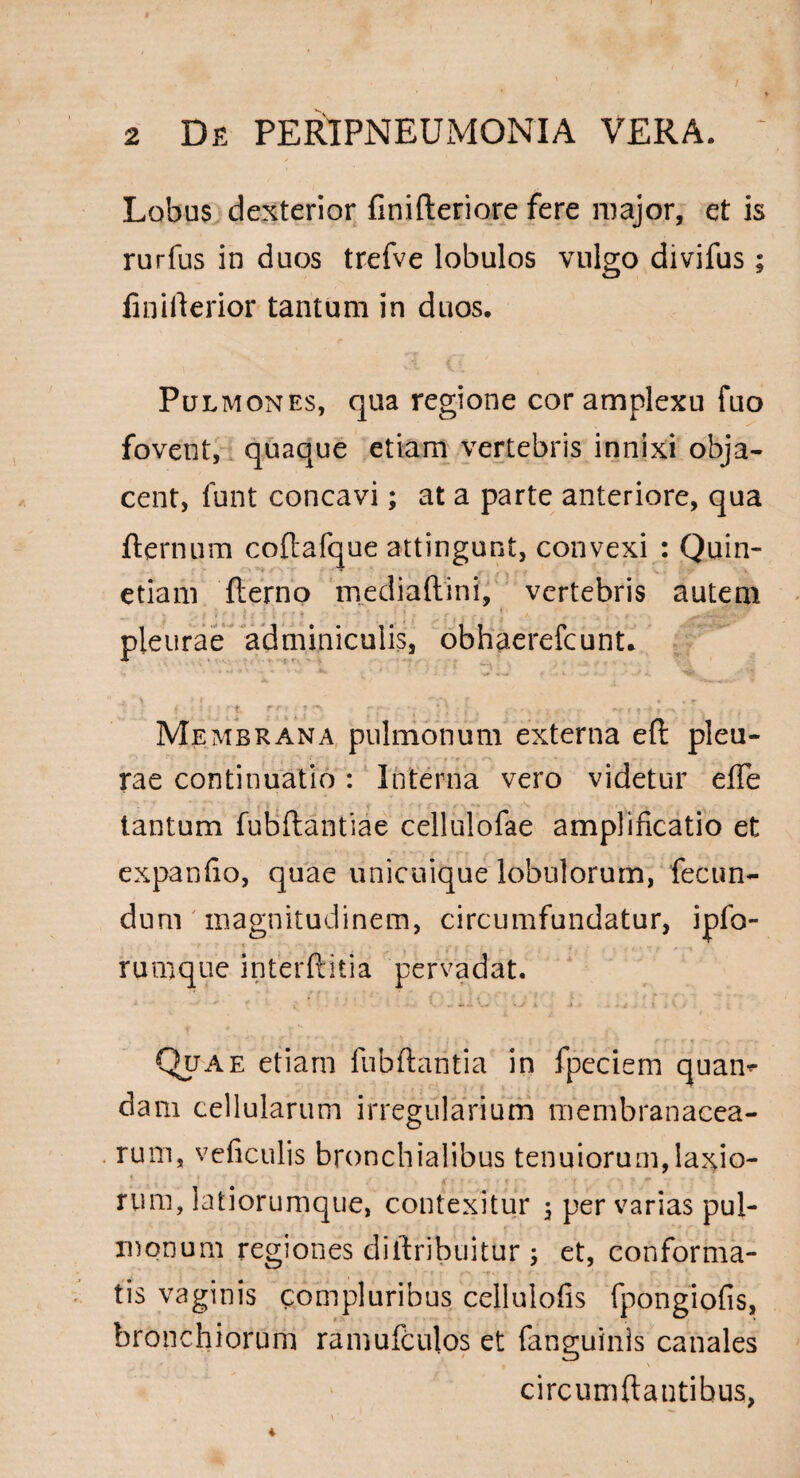 Lobus dexterior finifteriore fere major, et is rurfus in duos trefve lobulos vulgo divifus; finiflerior tantum in duos. Pulmones, qua regione cor amplexu fuo fovent, quaque etiam vertebris innixi obja¬ cent, funt concavi; at a parte anteriore, qua fternum cofiafque attingunt, convexi : Quin- etiam fterno mediaftini, vertebris autem pleurae adminiculis, obhaerefcunt. i ’■ • ' t rr : : m - ;* / q . “ ) ; j . , - , , » * -t ■ T v • , Membrana pulmonum externa eft pleu¬ rae continuatio: Interna vero videtur efle tantum fubftantiae cellulofae amplificatio et expanfio, quae unicuique lobulorum, fecun¬ dum ' magnitudinem, circumfundatur, ipfo- rumque interftitia pervadat. Quae etiam fubftantia in fpeciem quam dam cellularum irregularium membranacea¬ rum, veficulis bronchialibus tenuiorum,laxio- >v rum,latiorumque, contexitur , pervarias pul¬ monum regiones diilribuitur ; et, conforma¬ tis vaginis compluribus cellulofis fpongiofis, bronchiorum ramufculos et fanguinls canales circumflantibus,