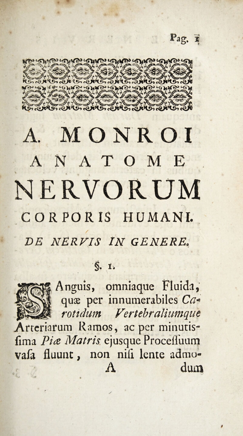 A. MONROI A N A T O M E NERVORUM CORPORIS HUMANI. DE NERVIS IN GENERE. §. I. Anguis, omniaque Fluida, qu& per innumerabiles Ca¬ rotidum Fertebr aliumque Arteriarum Ramos, ac per minutis- fima Piae Matris, ejusque Procelluum vafa fluunt, non nili lente admo» A dum