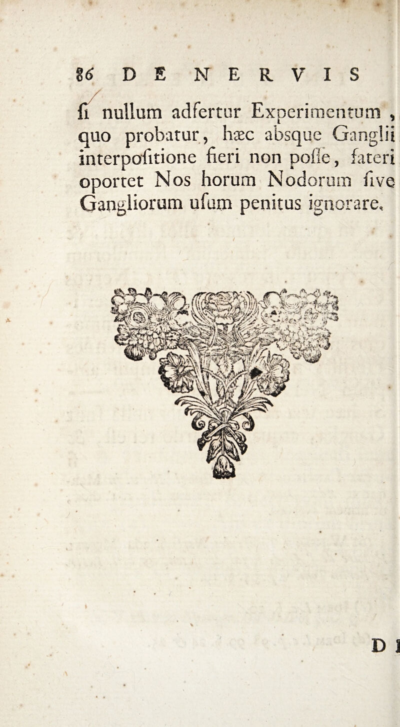 fi nullum adfertur Experimentum , quo probatur, haec absque Ganglii interpofitione fieri non pofle, fateri oportet Nos horum Nodorum fi ve Gangliorum ufum penitus ignorare.