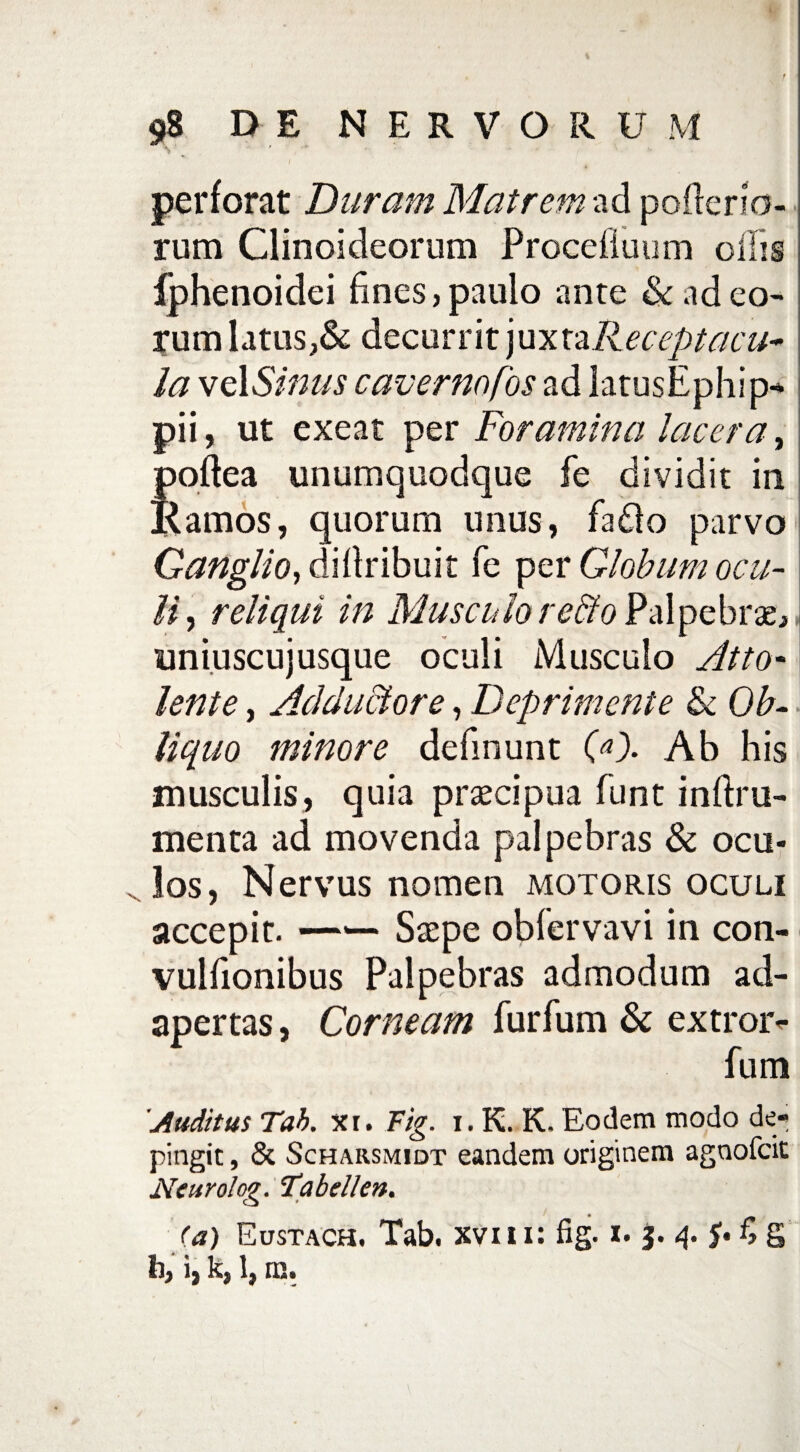 r 98 DE NERVORU M perforat Duram Matrem ad poderio- rum Clinoideorum Procelluum ollis Iphenoidei lines, paulo ante & ad eo¬ rum latus,& decurrit juxta Receptacu¬ la vel Sinus cavernofos ad latusEphip* pii, ut exeat per Foramina lacera, poftea unumquodque fe dividit in Ramos, quorum unus, fa£lo parvo Ganglio, dillribuit fe per Globum ocu¬ li, reliqui in Musculo r effio Palpebrae, uniuscujusque oculi Musculo Atto* lente, Adductore, Deprimente & Ob¬ liquo minore delinunt 00. Ab his musculis, quia praecipua funt inftru- menta ad movenda palpebras & ocu¬ los, Nervus nomen motoris oculi accepit. —*— Saepe oblervavi in con- vulfionibus Palpebras admodum ad¬ apertas , Corneam furfum & extror* fum 'Auditus Tab. xr. Fig. 1. K. K. Eodem modo de¬ pingit , & Scharsmidt eandem originem agnofcit Neurolog. Tabellen. (a) Eustach. Tab. xvm: fig. 1. 3. 4. $• fi g b, i, k, 1, m.