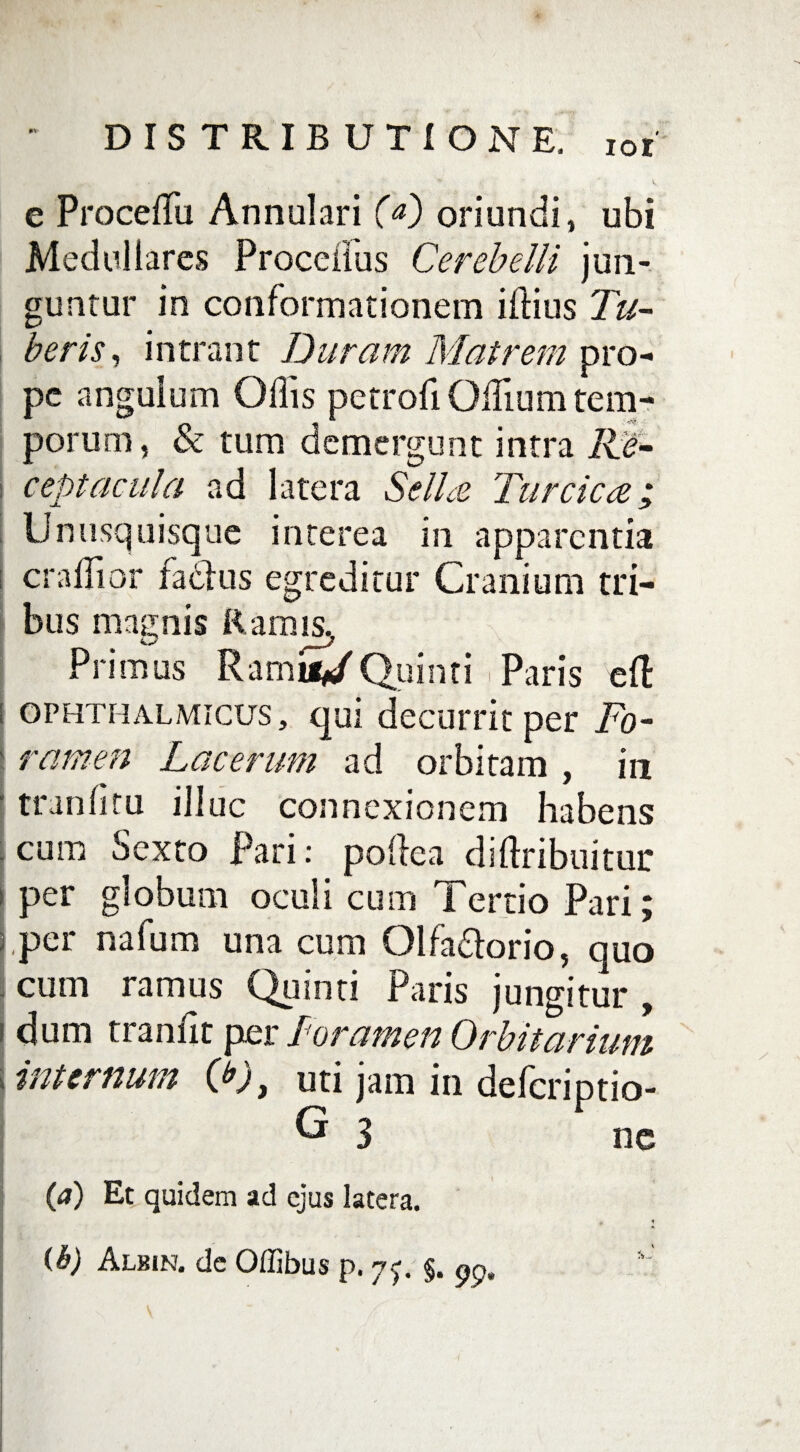 e ProcefTo Annulari Ca) oriundi, ubi Medullares Proceiius Cerebelli jun¬ guntur in conformationem illius Tu¬ beris , intrant Duram Matrem pro¬ pe anguium Ollis petrofi OiTium tem¬ porum, & tum demergunt intra Re¬ ceptacula ad latera Sella Turcica; Unusquisque interea in apparentia i eradior faclus egreditur Cranium tri¬ bus magnis Ramis. Primus Ramu/Quinti . Paris eft i ophthalmicus, qui decurrit per Fo¬ ramen Lacerum ad orbitam , in trunlitu illuc connexionem habens cum Sexto Pari: pollea di (tribuitur per globum oculi cum Tertio Pari; per nafum una cum Olfadlorio, quo cum ramus Quinti Paris jungitur , dum tranfit per Foramen Orbitarum internum Oj, uti jam in deferiptio- G 3 nc (a) Et quidem ad ejus latera. ¥ 1 ib) Albin. de Offibus p. 7^ §. 99.