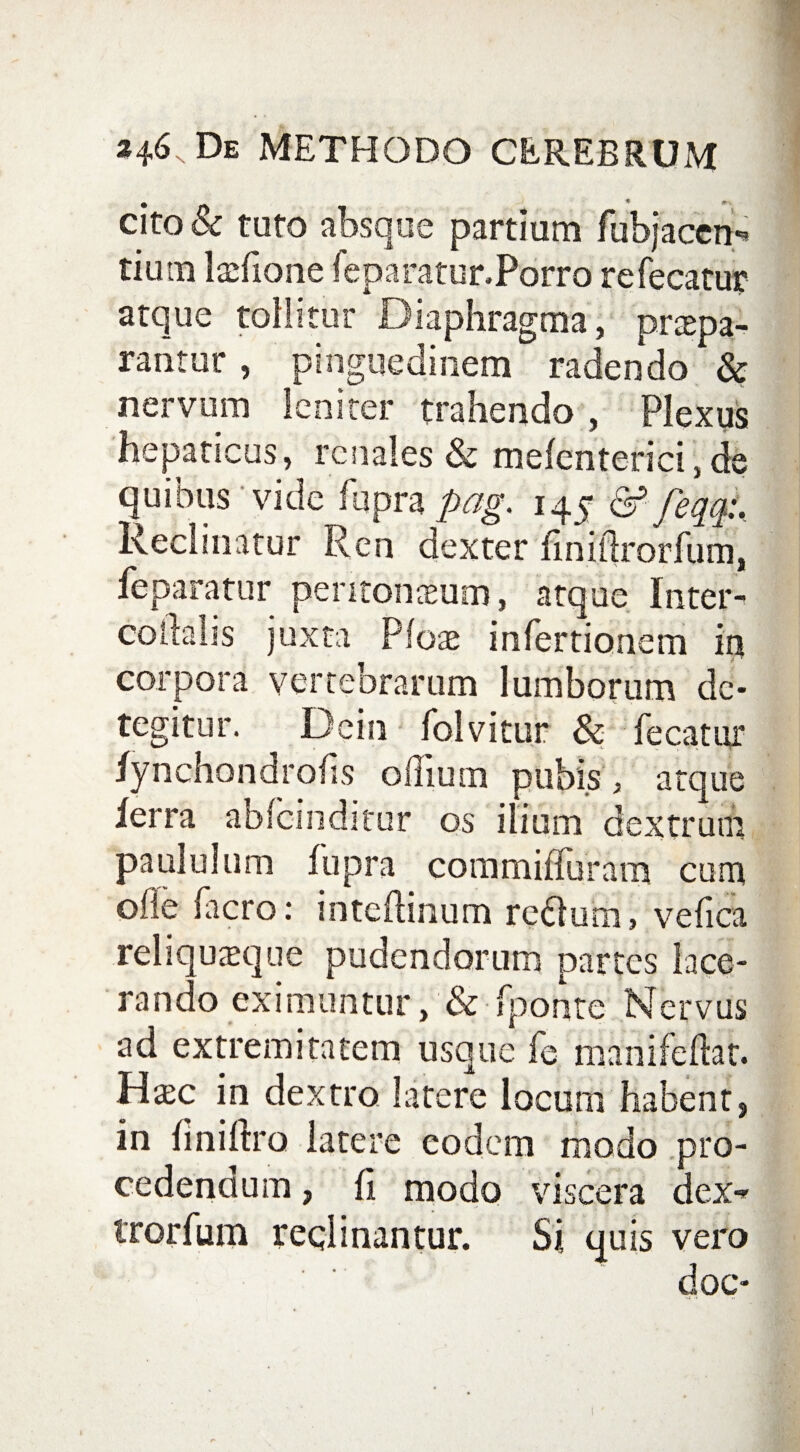 fK * * » cito & tuto absque partium fubjacen-* tium Mone feparatur.Pbrro refecatur atque tollitur Diaphragma, prtepa- rantur, pinguedinem radendo & nervum leniter trahendo , Plexus hepaticus, renales & mefenterici,de quibus vide ftipra pag. 145 & feqq:. Reclinatur Ren dexter fmiftrorfum, feparatur peritoneum, atque Inter- colhlis juxta P(ox infertionem in corpora vertebrarum lumborum de¬ tegitur. Dein folvitur & fecatur /ynchondrofis oilium pubis , atque ferra abicinditur os ilium dextrum paululum iupra commiffuram cum ofle iacro: inteftinum reOutn, vefica reliqusque pudendorum partes lace¬ rando eximuntur, & fponte Nervus ad extremitatem usque fe manifeftat. Hsc in dextro latere locum habent, in finiftra latere eodem modo pro¬ cedendum , II modo viscera dex- trorfum reclinantur. Si quis vero doc- 1