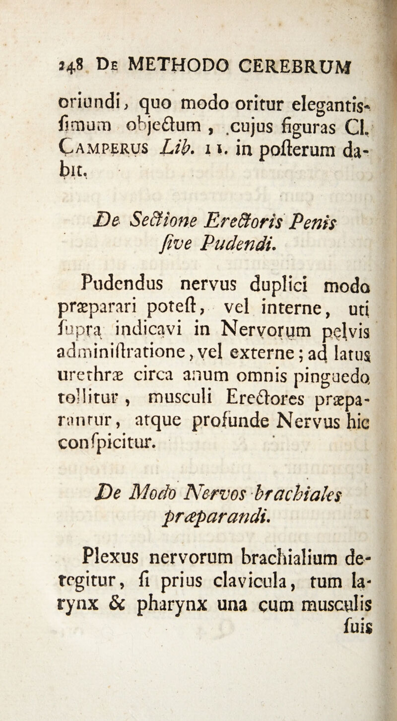oriundi, quo modo oritur elegantiV fimum obje&um , cujus figuras Cl, Camperus Lib* 11, in pofterum da¬ bit, De Se&ione Ere&oris Penis fi ve Pudendi. Pudendus nervus duplici modo praeparari poteft, vel interne, uti iupra indicavi in Nervorum pelvis adminiftratione, vel externe; ad latus urethrae circa anum omnis pinguedo, tollitur , musculi Ere&ores praepa¬ ramur, atque profunde Nervus hic confpicitur. De Modo Nervos brachiales praparandi. Plexus nervorum brachialium de¬ tegitur, fi prius clavicula, tum la¬ rynx & pharynx una cum musculis fuis