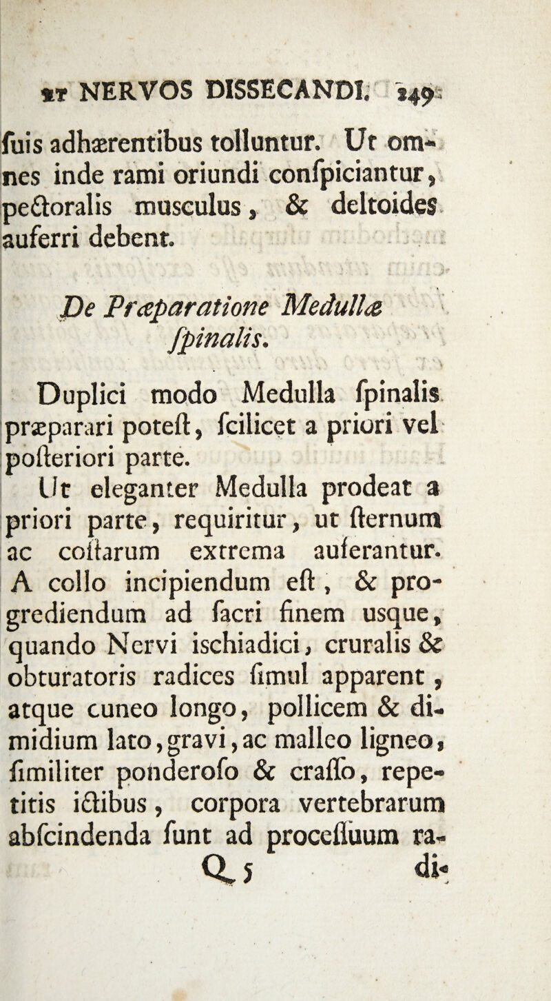 fuis adhaerentibus tolluntur. Ut om¬ nes inde rami oriundi confpiciantur, peroralis musculus, & deltoidei, auferri debent » Z> Praparatione Medulis /pinalis» Duplici modo Medulla fpinalis praeparari poteft, fcilicet a priori vel pofteriori parte. Ut eleganter Medulla prodeat a priori parte, requiritur, ut fternum ac codarum extrema auferantur. A collo incipiendum eft , & pro¬ grediendum ad facri finem usque, quando Nervi ischiadici, cruralis & obturatoris radices fimul apparent, atque cuneo longo, pollicem & di¬ midium lato,gravi,ac malleo ligneo, fimiliter ponderofo & erado, repe¬ titis i&ibus, corpora vertebrarum abfeindenda funt ad procefluum ra- Q.J di*