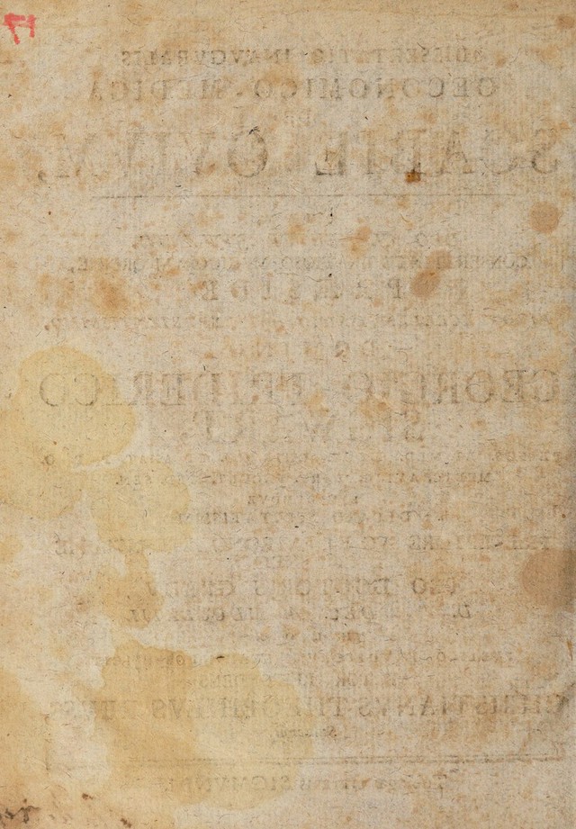 digitised image 2