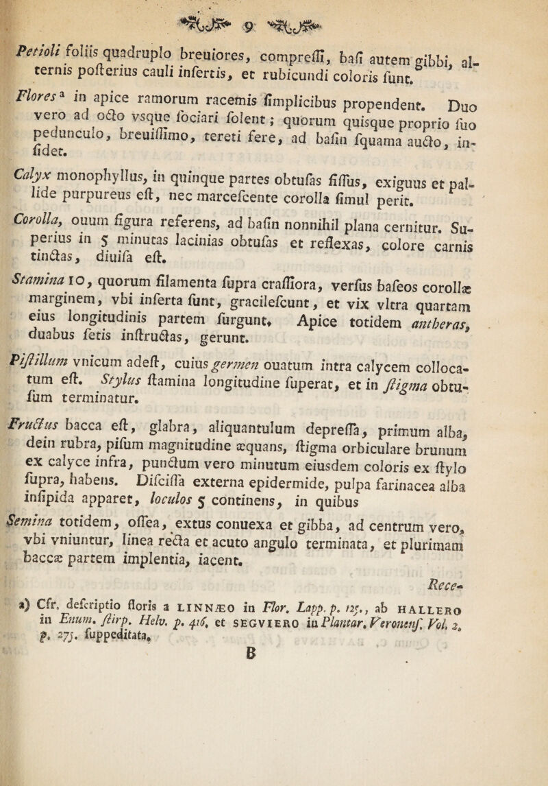 Pettolt foliis quadruplo breuiores, compreiH, baii autem gibbi al¬ ternis pofterius cauli infertis, et rubicundi coloris funt. ’ Flores» in apice ramorum racemis llmplicibus propendent. Duo vero ad o£lo vsq^ lociari folent; quorum quisque proprio fuo pedunculo, breuiffimo, tereti fere, ad balin fquama audo, in- lidet. ^ Calyx monophyllus, in quinque partes obtufas fiflus, exiguus et pal¬ lide purpureus eft, nec marcefcente corolla fimu! perit. Corolla, ouum figura referens, ad bafin nonnihil plana cernitur. Su¬ perius in 5 minutas lacinias obtufas et refiexas, colore carnis tinnias, diui/a efl, StaminaiQ, quorum filamenta fupra crafllora, verfus bafeos corolla: marginem, vbi inferta funt, gracilefcunt, et vix vitra quartam eius longitudinis partem furgunt. Apice totidem amheras, duabus fetis inflru^as, gerunt. Pijiillum vnicum adefl, exfms gerjnen ouatum intra calycem colloca¬ tum efl. Stylus flamina longitudine fuperat, et in filgma obtu- fum terminatur. Fru&us bacca efl, glabra, aliquantulum deprefla, primum alba^ dein rubra, pifum magnitudine aequans, fligma orbiculare brunum ex calyce infra, pun61om vero minutum eiusdem coloris ex flylo fupra, habens. Difcifla externa epidermide, puipa farinacea alba infipida apparet, loculos 5 continens, in quibus Semina totidem, oflea, extus conuexa et gibba, ad centrum vero, vbi vniuntur, linea reda et acuto angulo terminata, et plurimam baccas partem implentia, iacent. Rece^ n) Cfr, defcriptio floris a LiNNiEO in Flor, Lapp.p, ab hallero Iu Euum, fiirp, Helv. p, et SEGVIERO itxFknmr^Fsronenf FoL 2^ f, 27J. fuppediUta, B