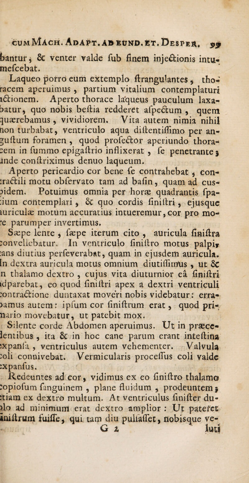 CUmMACH. ADAPT.ABEtJND.ET.DESPEA, bantur j & venter valde fub finem inje&ionis intu« mefcebat. Laqueo porro eum extemplo fl:rangulantes ^ tho¬ racem aperuimus , partium vitalium contemplaturi adtionem. Aperto thorace la'queus pauculum laxa¬ batur, quo nobis beftia redderet afpedtum , quem quaerebamus, vividiorem. Vita autem nimia nihil non turbabat, ventriculo aqua diftentiflimo per an- jufium foramen , quod profeftor aperiundo thora- :em in fummo epigaftrio inflixerat , fe penetrante j jnde conflriximus denuo laqueum. Aperto pericardio cor bene fe contrahebat , con- [radiili motu obfervato tam ad bafin, quam ad cus-* pidem. Potuimus omnia per horae quadrantis fpa- :ium contemplari, & quo cordis finillri, ejusque luriculse motum accuratius intueremur, cor pro mo¬ re parumper invertimus, Sajpe lente , fepe iterum cito , auricula finiftra :onveliebatur. In ventriculo finiftro motus palpiy :ans diutius perfeverabat, quam in ejusdem auricula, [n dextra auricula motus omnium diutiflirnUs , ut 8c n thalamo dextro , cujus vita diuturnior ea finiftri idparebat, eo quod finiftri apex a dextri ventriculi :ontra£lione duntaxat moveri nobis videbatur. erra- )amus autem: ipfum cor finiftrum erat, quod pri- naiio movebatur, ut patebit mox. Silente corde Abdomen aperuimus. Ut in pr^cc- lentibus , ita & in hoc cane parum erant inteftina ixpanfa , ventriculus autem vehementer. Valvula :oli connivebat. Vermicularis procefius coli valde ixpanfus. Redeuntes ad cor, vidimus ex eo finiftro thalamo :opiofum fanguinem , plane fluidum , prodeuntem} :tiam ex dextro multum. At ventriculus finifter du- )lo ad minimum erat dextro amplior ; Ut patefet iniftrum fuifle, qui tam diu pulfaflet, nobisque ve- G t luti