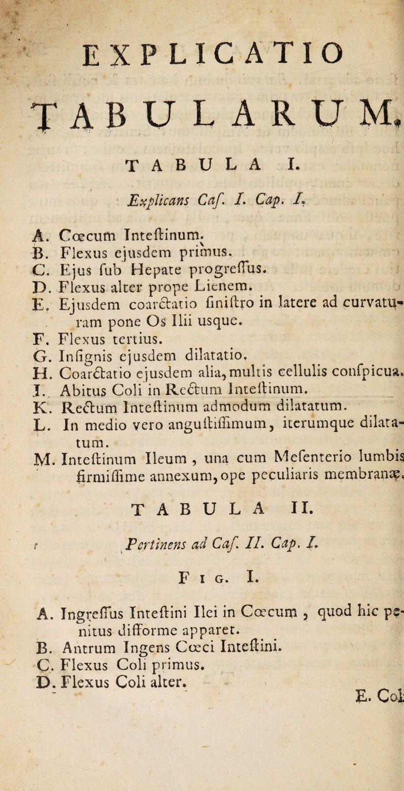 • EXPLICATIO s TABULARUM, tabula I. t Explicans Caf. /. Cap, E A. Coecum Tnteftinum. B. Flexus ejusdem primus. C. Ejus fub Hepate progreffus. D. Flexus alter prope Lienem. E. Ejusdem coardlatio finiftro in latere ad curvatu¬ ram pone Os Ilii usque. F. Flexus tertius. G. Infignis ejusdem dilatatio. H. Coarftatio ejusdem alia,mullis cellulis confpicua. I. . Abitus Coli in Redum intellinum. K. Redum Inteftim.im admodum dilatatum. L. In medio vero anguililTimum, iterumque dilata¬ tum. M. Inteftinum Ileum , una cum Mefenterio lumbis firmiffime annexum, ope peculiaris membran^, TABULA II. f ^ Fer fi nem ad Caf. IL Cap. /. I F I G. I. A. Ingreffus Inteftini Ilei in Caicum ? quud hic pe¬ nitus difforme apparet. B. Antrum Ingens Ctrci Inteftini. C. Flexus Coli primus. D. Flexus Coli alter. E. Coi;