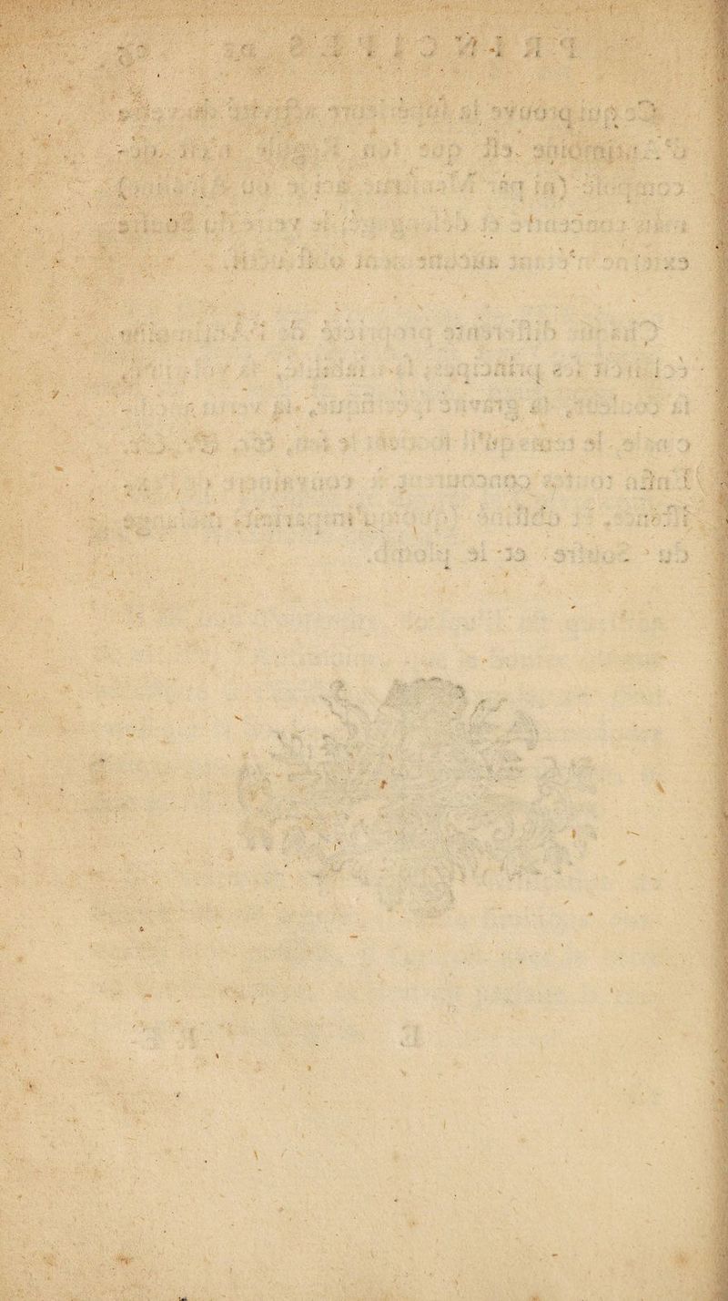 / - \ •; 7 I c 4 s> \