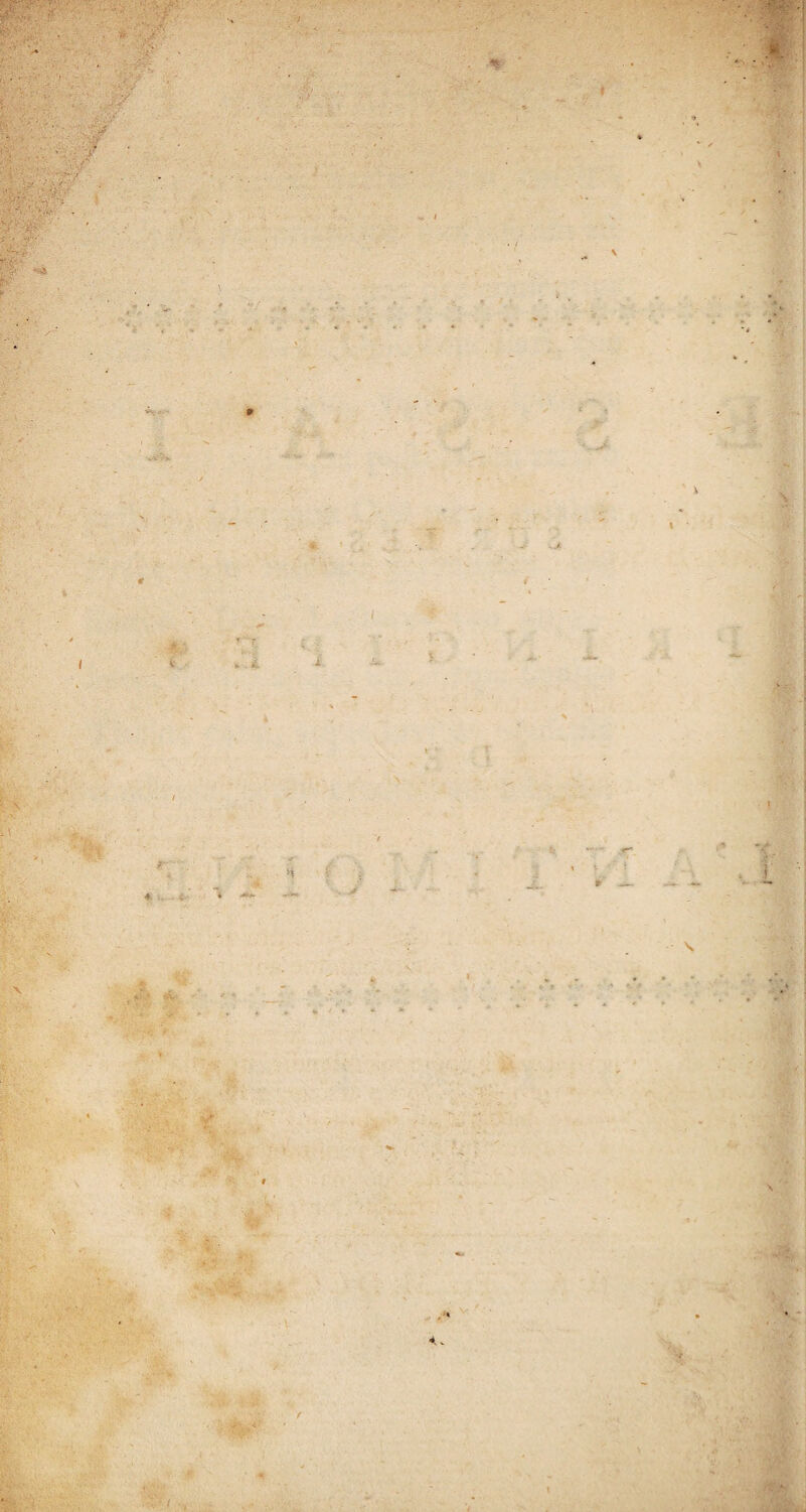 \ ■ 9 ft i V -- :>• i. \