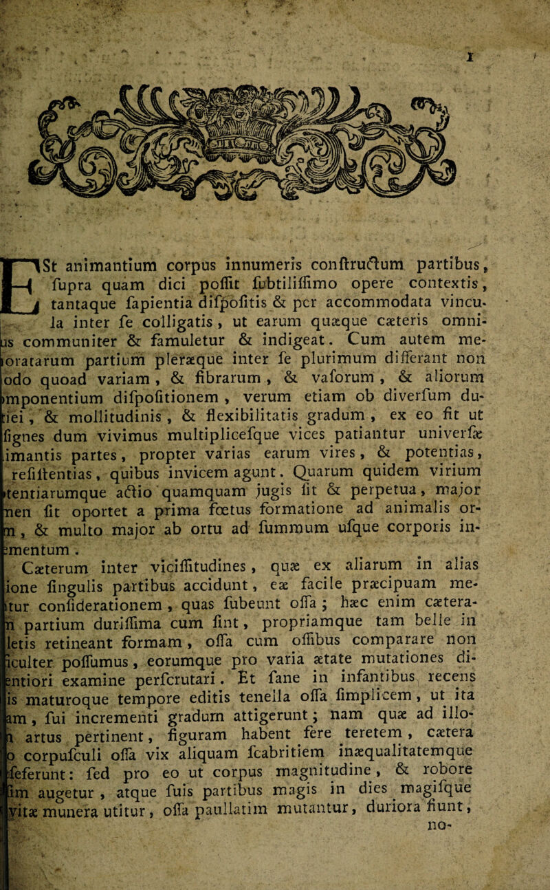 E St animantium corpus innumeris conftruftum partibus f fupra quam dici poflit fubtiliffimo opere contextis, tantaque fapientia difjjSofitis & per accommodata vincu¬ la inter fe colligatis, ut earum quaque caeteris omni- Iis communiter & famuletur & indigeat. Cum autem me- oratarum partium pleraque inter fe plurimum differant non odo quoad variam , & fibrarum , & vaforum , & aliorum mponentium difpofitionem , verum etiam ob diverfum du* tiei, & mollitudinis, & flexibilitatis gradum, ex eo fit ut fignes dum vivimus multiplicefque vices patiantur univerfie limantis partes, propter varias earum vires, & potentias, refiftentias, quibus invicem agunt. Quarum quidem virium tentiarumque aftio quamquam jugis Iit & perpetua, major nen fit oportet a prima foetus formatione ad animalis or- m , & multo major ab ortu ad fummum ufque corporis in- mentum . Cseterum inter vicifiitudines, quae ex aliarum in alias ione lingulis partibus accidunt, eae facile praecipuam me- itur confiderationem , quas fubeunt offa ; haec enim caetera- h partium duriffima cum fint, propriamque tam belie in letis retineant formam, offa cum offibus comparare non iculter poffumus, eorumque pro varia aetate mutationes di- entiori examine perferutari. Et fane in infantibus^ recens ps maturoque tempore editis tenella offa fimplicem, ut ita am, fui incrementi gradum attigerunt; nam quae ad illo* a artus pertinent, figuram habent fere teretem, caeteia o corpufculi olla vix aliquam fcabritiem inaequalitatemque feferunt: fed pro eo ut corpus magnitudine, & robore Sm augetur , atque fuis partibus magis in dies. magifque vitae munera utitur, offa paullatim mutantur, duriora fiunt,