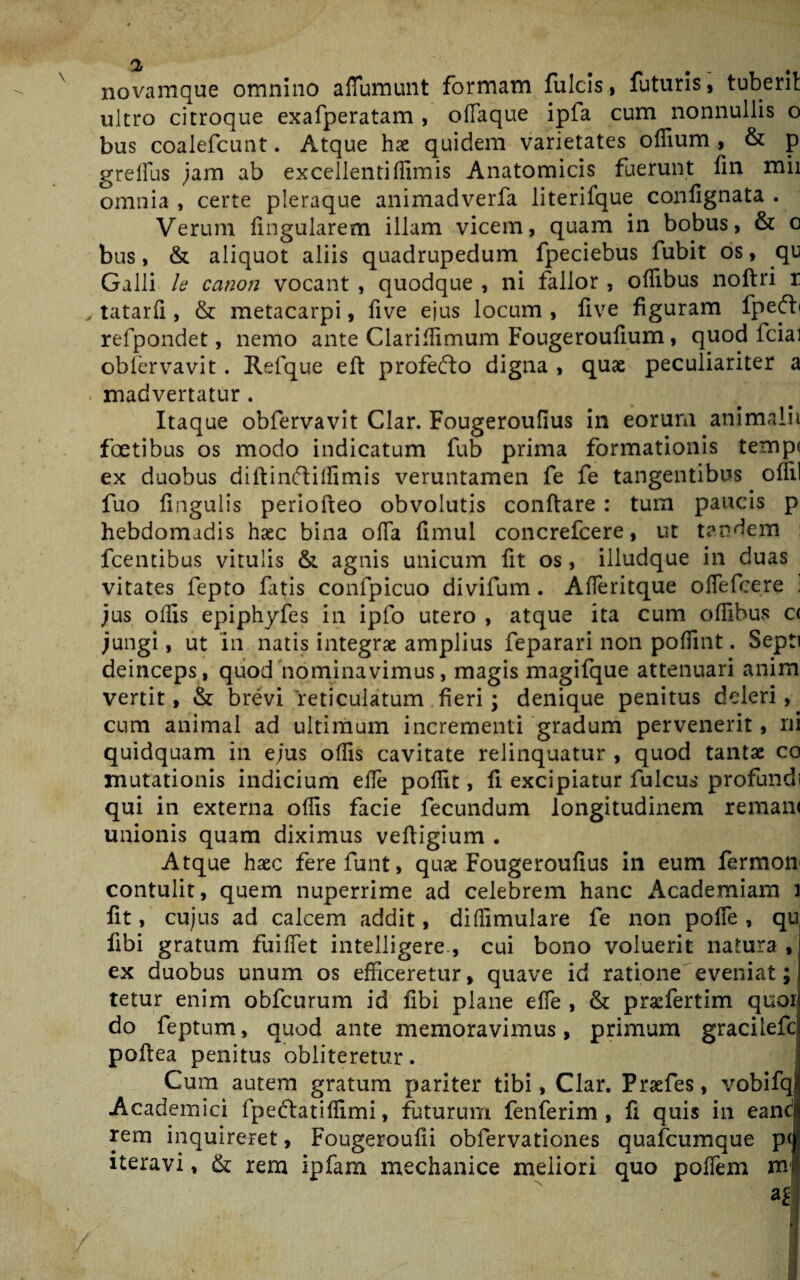 novamque omnino affumunt formam fulcis, futuris, tuberit ultro citroque exafperatam , ofTaque ipfa cum nonnullis o bus coalefcunt. Atque hae quidem varietates offium , & p grelfus jam ab excellenti (limis Anatomicis fuerunt fin mii omnia , certe pleraque animadverfa literifque confignata . Verum lingularem illam vicem, quam in bobus, & o bus, & aliquot aliis quadrupedum fpeciebus fubit os, qu Galli Is canon vocant , quodque , ni fallor , offibus noftri r „ tatarfi, & metacarpi, five ejus locum, five figuram fpefti refpondet, nemo ante Clarifiimum Fougeroufium, quod fciai oblervavit . Refque eft profefto digna , quae peculiariter a madvertatur . Itaque obfervavit Clar. Fougeroufius in eorum animalii foetibus os modo indicatum fub prima formationis temp( ex duobus diftinftiffimis veruntamen fe fe tangentibus oflil fuo lingulis periofteo obvolutis conftare : tum paucis p hebdomadis haec bina ofia fimul concrefcere, ut tandem fcentibus vitulis & agnis unicum fit os, iiludque in duas vitates fepto fatis confpicuo divifum . AfTeritque oflefcere 3 jus oflis epiphyfes in ipfo utero , atque ita cum ofiihus c< jungi, ut in natis integrae amplius feparari non pofiint. Septi deinceps, quod nominavimus, magis magifque attenuari anim vertit, & brevi 'reticulatum fieri ; denique penitus deleri, cum animal ad ultimum incrementi gradum pervenerit, ni quidquam in ejus offis cavitate relinquatur , quod tantae co mutationis indicium elfe poflit, fi excipiatur fulcus profundi qui in externa olfis facie fecundum longitudinem remani unionis quam diximus veftigium . Atque haec ferefunt, quae Fougeroufius in eum ferinon contulit, quem nuperrime ad celebrem hanc Academiam i fit, cujus ad calcem addit, diflimulare fe non pofie , qu libi gratum fuifiet intelligere., cui bono voluerit natura , ex duobus unum os efficeretur, quave id ratione eveniat; tetur enim obfcurum id fibi plane efle , & praefertim quoi do feptum, quod ante memoravimus, primum gracilefc pofiea penitus obliteretur. Cum autem gratum pariter tibi, Clar. Praefes, vobifqj Academici fpeftatilfimi, futurum fenferim , fi quis in eanc rem inquireret, Fougeroufii obfervationes quafcumque p< iteravi, & rem ipfam mechanice meliori quo poflem tn m