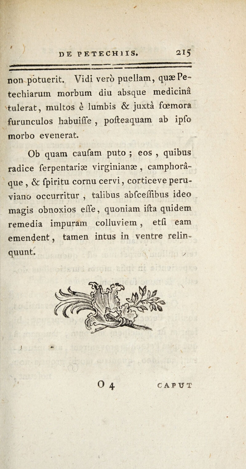 ) ui i ' ■ ■ '■ ■ . ^t^.-M^atracvw^r<*«-.a= «■ —'■! ■ ■ ■'<■■ non potuerit. Vidi vero puellam, qusePe- techiarum morbum diu absque medicina tulerat, multos e lumbis & juxta foemora furunculos habuiffe , pofteaquam ab ipfo morbo evenerat. Ob quam caufam puto ; eos , quibus radice ferpentarim virginianae, camphora- que , & fpiritu cornu cervi, corticeve peru- viano occurritur , talibus abfceffibus ideo magis obnoxios effe, quoniam ifta quidem remedia impuram colluviem, etfi eam emendent, tamen intus in ventre relin¬ quunt. y l cO  ' ' '' ■ ^ - 0 4 CAPUT /