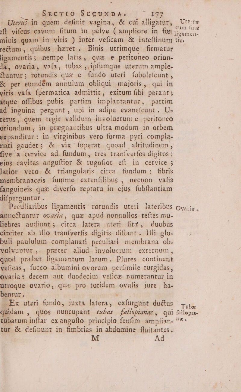 LI &amp;eerro SEQUNDBA. | 177 Uterüs jn quem definit vagina, &amp; cui alligatur, (t vifcus cavum fitum in pelve ( ampliore in foe: minis quam in viris ) inter veficam &amp; inteftinum rectum , quibus hzret . Binis utrimque firmatur igamentis nempe latis, quae e peritoneo oriun- la, ovaria, vafa, tubas ,,ipfumque uterum ample- &amp;untur; rotundis quz e fundo uteri fobolefícunt , &amp; per eumdém annulum obliqui majoris, qui in viris vafa fpermatica admittit , exitum fibi parant atque offibus pubis partim implantantur, partim ad inguina pergunt, ubi in adipe evaneícunt . U- ferus , quem tegit validum involuerum e peritoneo oriundum , in pregnantibus ultra modum in orbem expanditur : : in virginibus vero forma pyri compla- nati gaudet ; &amp; vix fuperat quoad altitudinem , five a. cetvice ad. fundum, tres traníverfos digitos: ejus cavitas aoguftior &amp; rugofior eft. in cervice ; latior vero. &amp; triangulars circa fundum: Éfbris membranaceis fumme extenfilibus , necnon vafis fanguineis qug diverfo reptatu in ejus fubftantiam difperguntur . ) Peculiaribus ligamentis rotundis uteri lateribus anne&amp;tuntur ovar4, qug apud nonnullos teftes mu. liebres audiunt; circa latera uteri fitr, duobus circiter ab illo tranfverfis digitis diflant. lili glo- buli paululum. complanati peculiari membrana ob. volvuutur ,- preter aliud involucrum | externum, quod prebet ligamentum latum. Plures continent veficas , fucco. albumini ovorum perfimile turgidas, Ovatia* decem aut duodecim vebce numerantur in utroque ovario, quz pro totidem ovulis jure ha- bentur.  .Ex uteri fundo, juxta latera, exfíurgunt du&amp;tus quidam , Quos nuncupant zubas fallopianas , qui tubarum inflar ex angufto. principio fenfim dtnplian- tur &amp; definunt in fimbrias in abdomine fluitantes. M Ad Uterne cum fuia ligamen- tis. Tubz fallopia- ng,