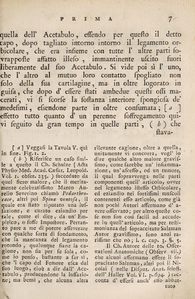 quella dell’ Acetabulo, efFendo per quello il detto capo, dopo tagliato intorno intorno il legamento ©r- bicolare, che era infìeme con tutte 1’ altre parti fò- vrappofìe affatto illefo , immantinente ufcko fuori liberamente dal fuo Acetabulo . Si vide poi sì f uno, che 1’ altro al mutuo loro contatto fpogliato non folo della fua cartilagine, ma in oltre logorato in guifa, che dopo d’ effere flati ambedue quelli offi ma¬ cerati , vi fi fcorfe la fòflanza interiore fpongiofa de’ medefìmi, efsendone parte in oltre confumata ; [ a ] effetto tutto quanto d’ un perenne fòffregamento qui¬ vi feguito da gran tempo in quelle parti , ( b ) che flava- [a] Veggafi la Tavola V. qui in fine. Fig.i. 2. ( b ) Ri feri Ice un cafo fimi- le a quello il Ch. Schulze [ Ada Phyfio'Mcd. Acati. Caefar. Leopold. Voi. i. obfer. 235. ) fuccedutc da quel fiero malore , che il merita¬ mente celebratiffimo Marco Au¬ relio Severino chiamò Tedarthro- cctce , altri poi Spina vento fa ^ il quale era fiato riputato una luf- fazione, e curato eziandìo per tale, come ei dice , da un’ Em¬ pirico, o foffe Impofiore . Pertan¬ to pare a me di potere a (leverà re con qualche Porta di fondamento, che la mancanza dei legamento rotondo , qualunque fiane la ca¬ gione , non fia per fe fola, co¬ me io penio, ballante a far sì, che ’l capo del Femore efea dal fuo luogo, cioè a dir dall’ Ace- 1 tabulo , producendone la libazio¬ ne; ma bensì , che alcuna altra ■re rilevante cagione, oltre a quella, unitamente vi concorra, vogl’ io dire qualche altro malore gravi fi- fimo, come farebbe un’ infiamma¬ zione, un’ afcefib , od un tumore, il qual fiopravvenga nelle parti componenti quell’ articolo, ovver nel legamento ifteflb Orbicolare, ed eziandìo nei fortiifimi mufcoli contenenti eflo articolo, come già non pochi Autori affermano d’ a- vere ofiervato; per altro quefie co¬ le non fon cosi facili ad accade¬ re in quell’articolo, ma per^tefii- monianza del fopraccitato Salzman Autor graviffimo, fono anzi ra- rifiìme che nò ; 1. c. cap. 3. §. 5. Il Ch.Autore delle io* Olfer- vazìoni Anatomiche ( Obferv v\\.) che alcuni affermano effere il fo- pracitato Salzman, altri poi il Ni¬ colai ( nelle Difput. Anat. feleóì. deli’ Haller Voi. VI. p.ópq. ) rac¬ conta d’ efferfi anch’ elfo abbat¬ tuto