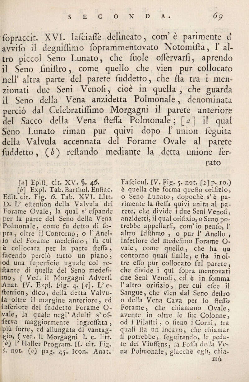 fopraccit. XVI. lafciafle delineato, com’ è parimente d avvilo il degniflimo foprammentovato Notomifta, 1’ al¬ tro picco! Seno Lunato, che fuole oflervarfi, aprendo il Seno finiftro, come quello che vien pur collocato nell’ altra parte del parete fuddetto, che Ila tra i men¬ zionati due Seni Venofi, cioè in quella, che guarda il Seno della Vena anzidetta Polmonale, denominata perciò dal Celebratillìmo Morgagni il parete anteriore del Sacco della Vena della Polmonale; [<z] il qua 1 Seno Lunato riman pur quivi dopo 1’ union feguita della Valvula accennata del Forame Ovale al parete fuddetto, (&) reftando mediante la detta unione fer¬ rato [«] Ep'.ft, cit. XV. §. 46. [£] Expl. Tab.Rarthol. Euftac. Edit. cit. Fig. 6. Tab. XVI. Litt. D. L5 eftenlìon della Valvula del Forame Ovale , la qual s’ efpande per la parte del Seno della Vena Polmonale5 come fu detto di fo- pra, oltre il Contorno , o FAneF Jo del Forame medefìmo , fu cui è collocata per la parte fletta , facendo perciò tutto un piano , od una fuperficie uguale col re¬ cante di quella del Seno medefì- ino, [ Ved. il Morgagni Adverf Anat. IV. Expl. Fig. 4. [a], V e- flemion, dico, della detta Valvu¬ la oltre il margine anteriore, ed inferiore del fuddetto Forame O-* vale, la quale negl’Adulti s’of- ferva maggiormente ingranata, più forte, ed allungata dì vantag¬ gio, ( veci, il Morgagni 1. c. litt. [b) i5 Haller Program. II. cit. Fig. i. not. (0) pag, 45. Icqiì. Anat, Fafcicul. IV. Fig. 5. not. [2] p. io.) è quella che forma quello orifìzio, o Seno Lunato , dopoché s’ è pa¬ rimente la flelfa quivi unita al pa¬ rete, che divide i due Seni Venofi, anzidetti, il qual orifizio, o Seno po¬ trebbe appellarli, coni’io penfo, P altro Idfthmo , o pur P Anello , inferiore del medelìmo Forame Ca¬ vale , come quello, che ha un contorno quali limile, e fla inol¬ tre elio pur collocato fui parete, che divide i qui fopra mentovati due Seni Venofi, ed è in fomma l’altro orifizio, per cui efce il Sangue, che vien dal Seno deliro o della Vena Cava per Jo fleffo Forame, che chiamano Ovale, avente in oltre le fue Colonne, od i Pilaltri , o fieno i Corni, tra quali da un incavò, che chiamar li potrebbe, feguitando, le peda¬ te del Viuttens, la Fotta della Ve¬ na Polmonale, giacché egli, chia¬ mò